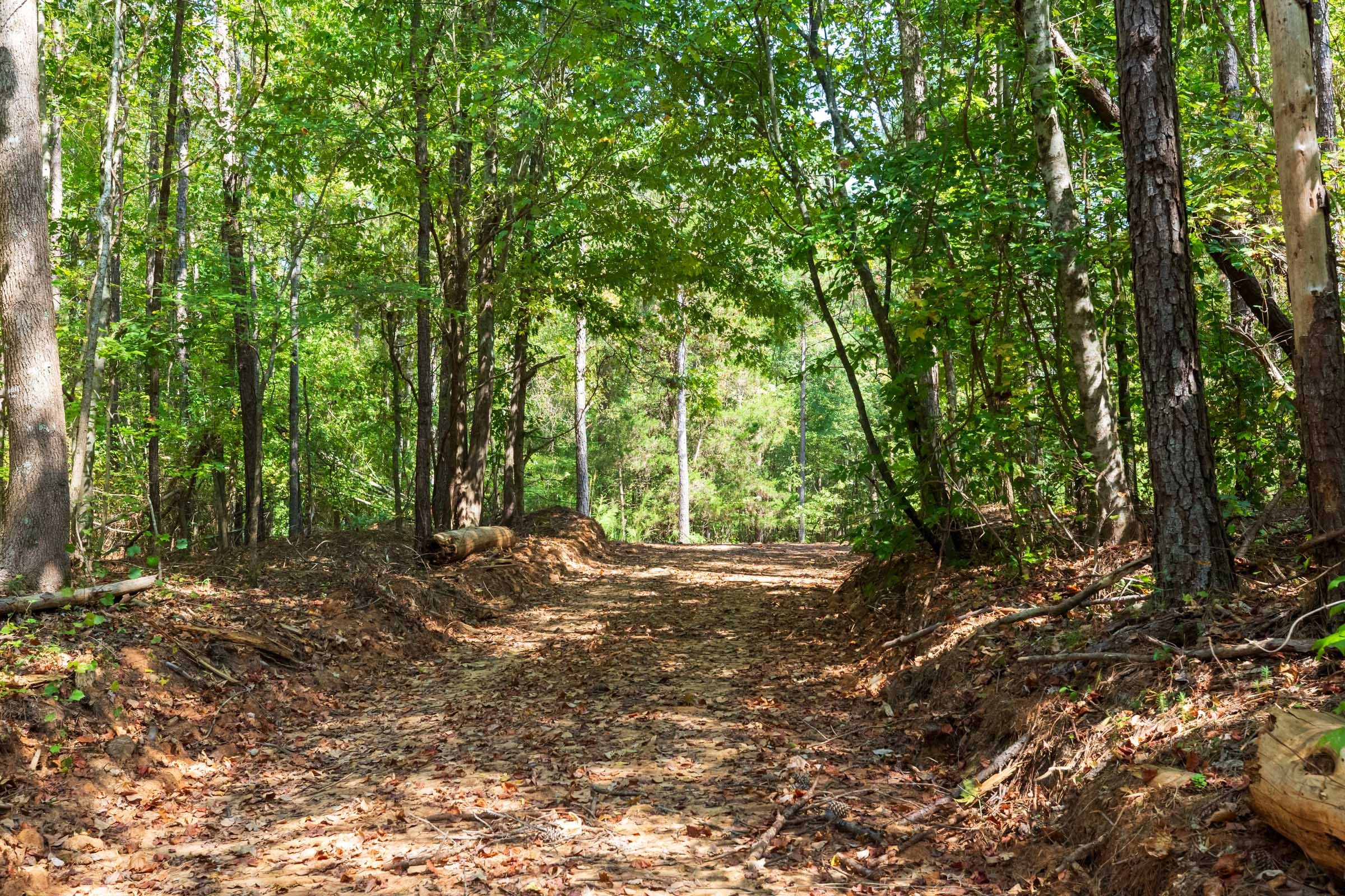 Willow Grove Tract 13 photo 8