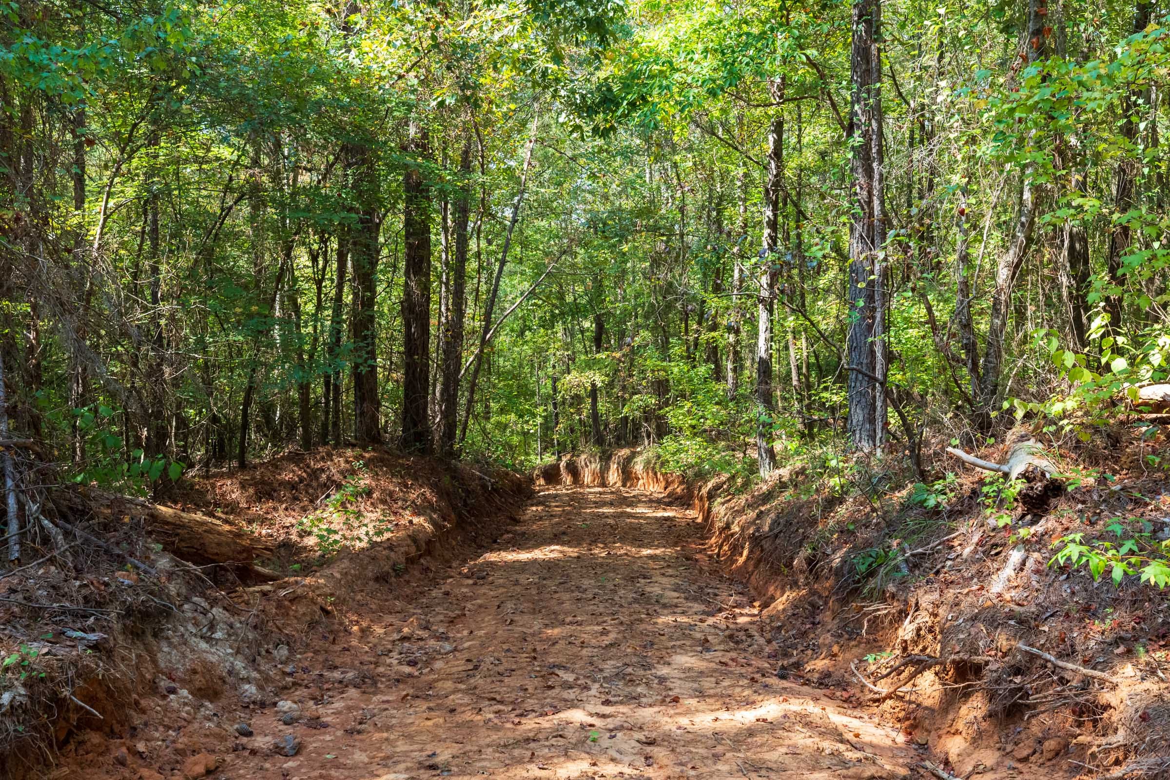 Willow Grove Tract 13 photo 10