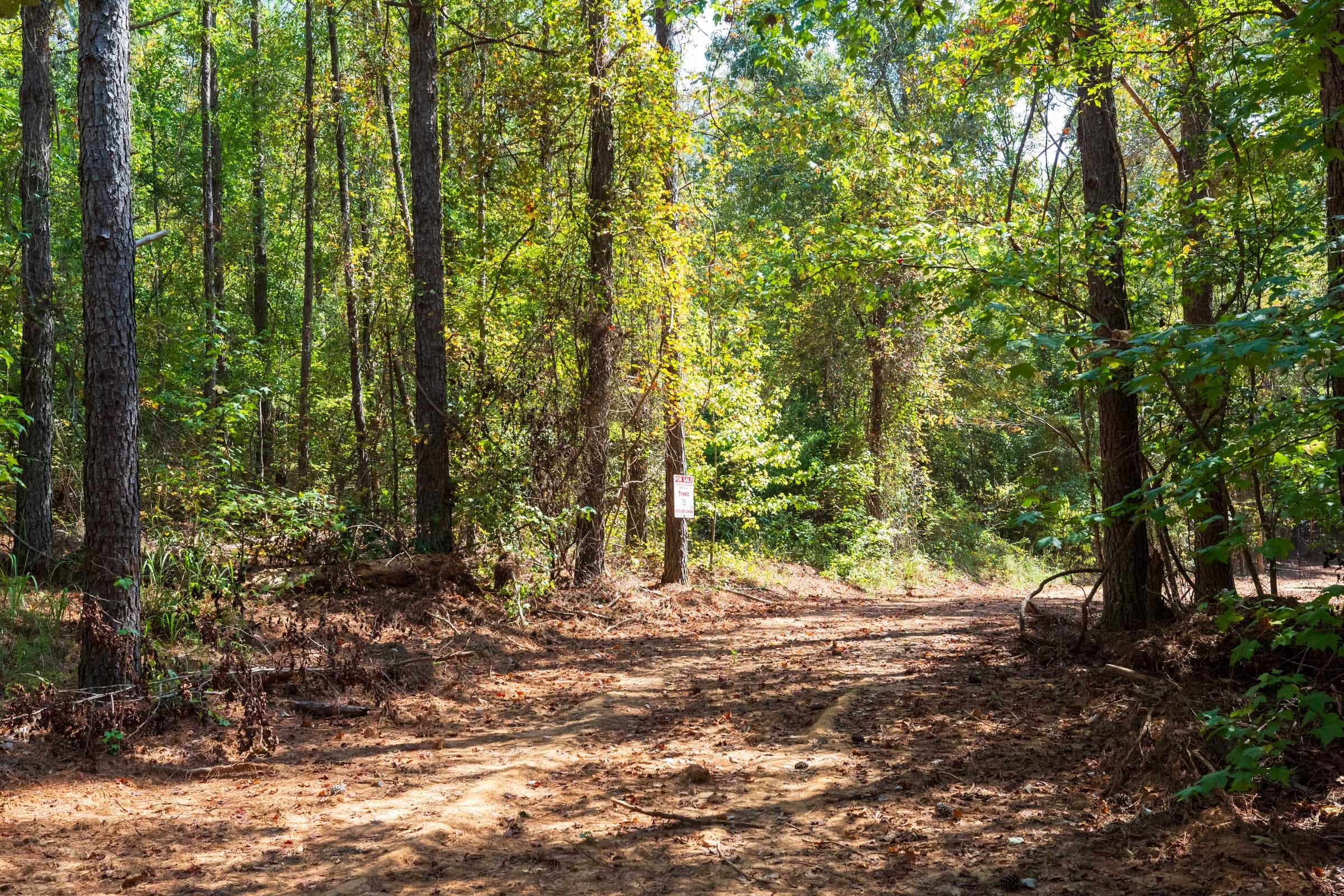Willow Grove Tract 13 photo 12