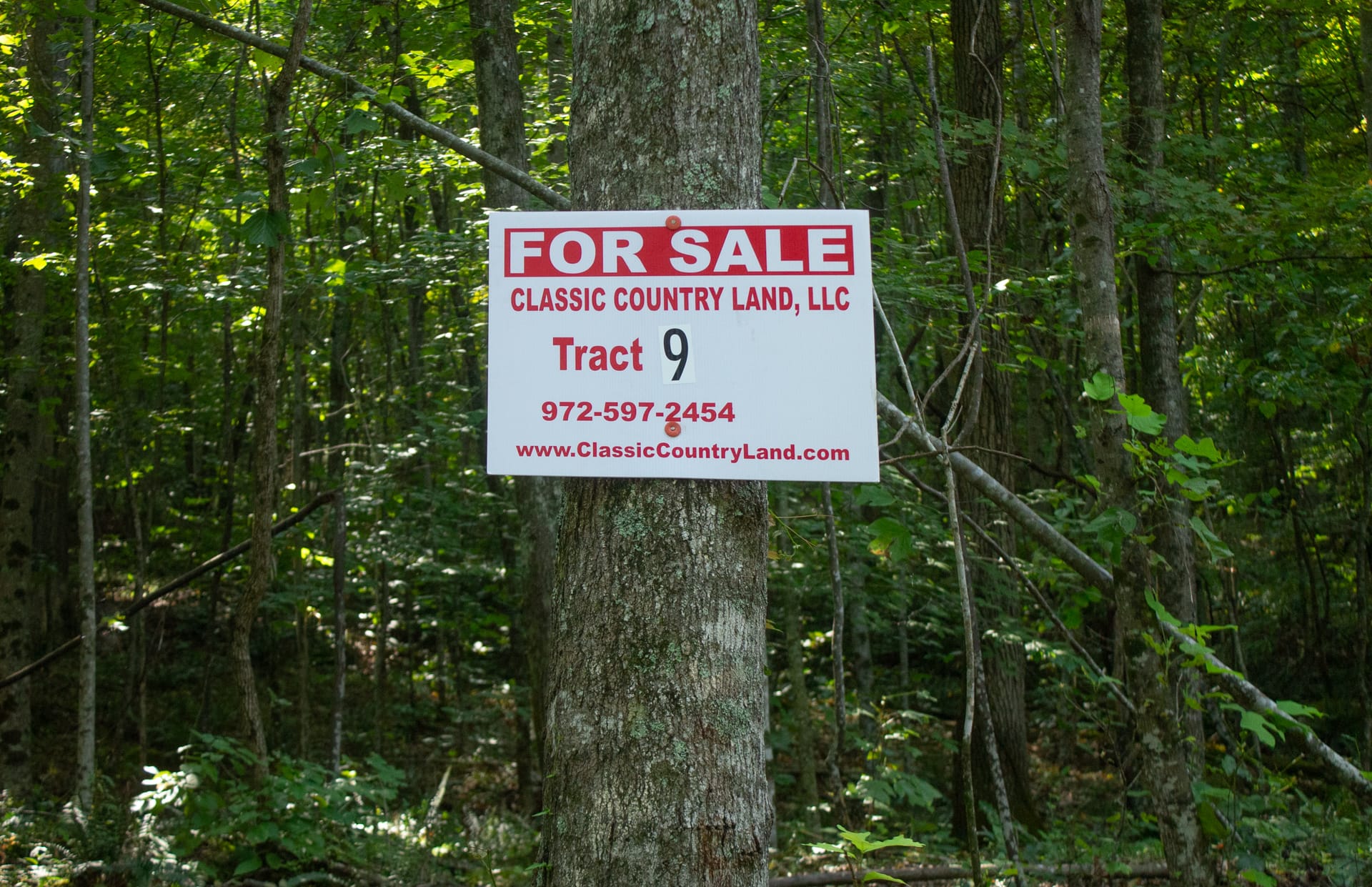 Bluegrass Ridge Tract 9 photo 1