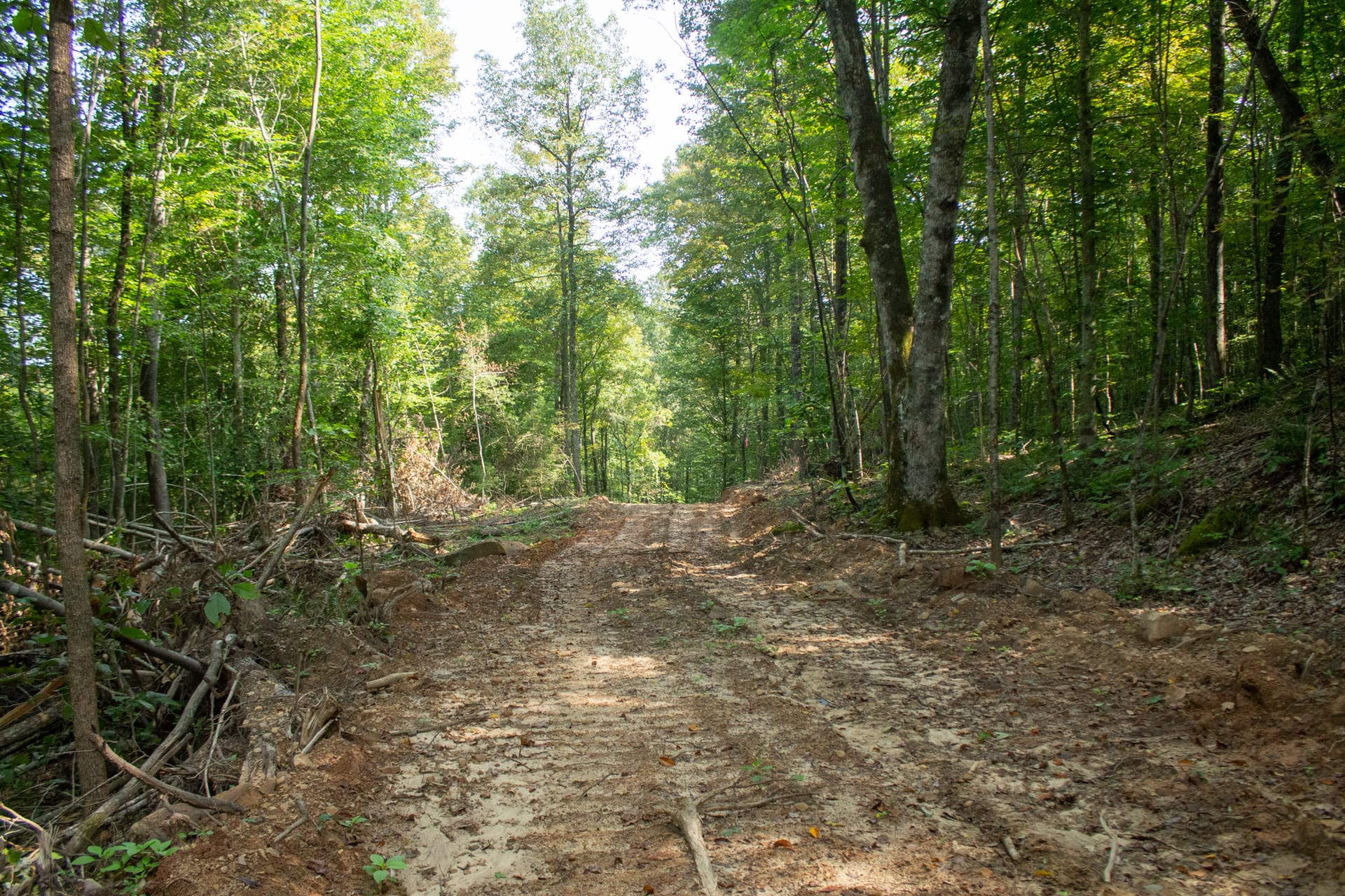 Bluegrass Ridge Tract 9 photo 2