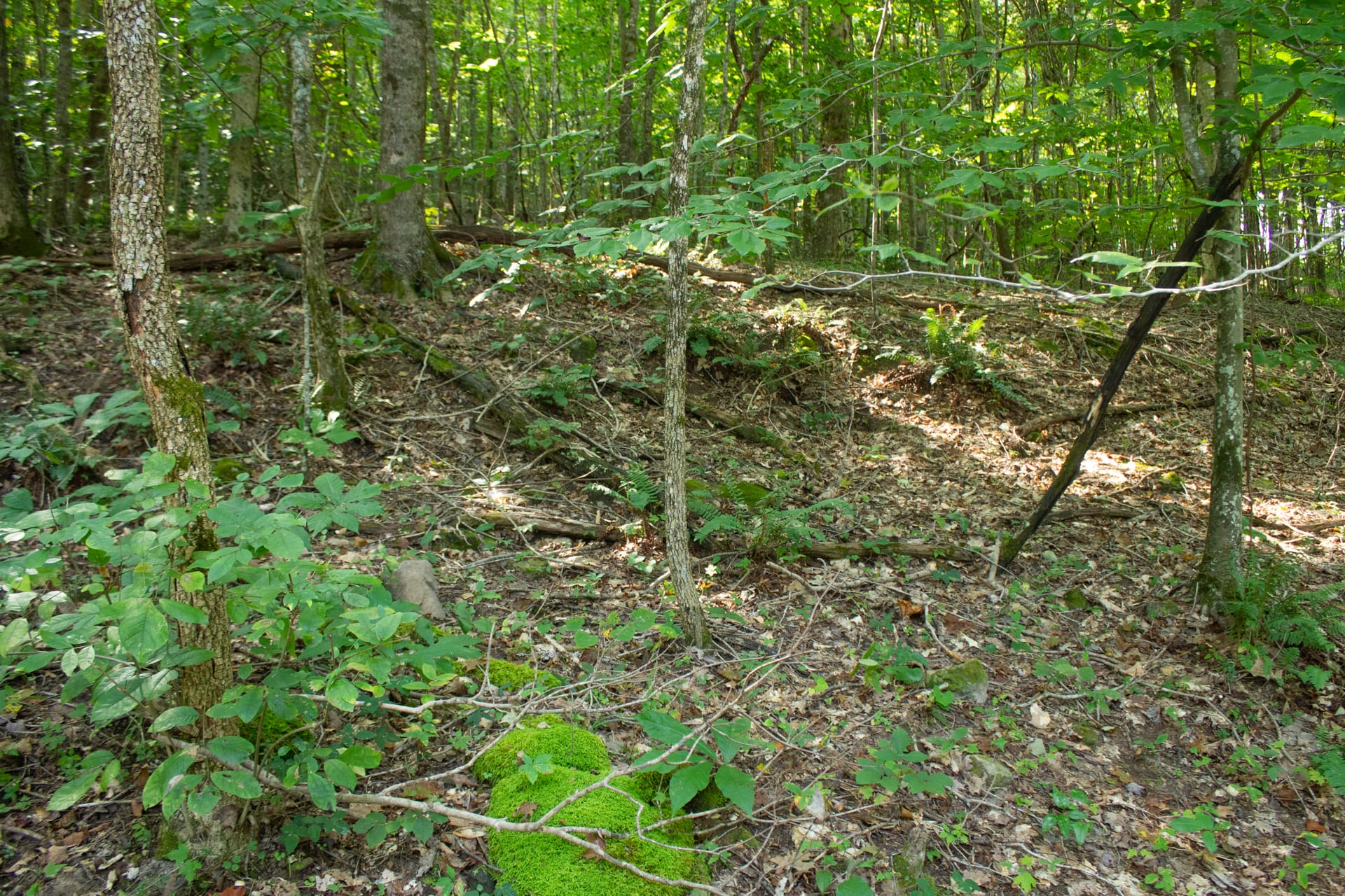 Bluegrass Ridge Tract 9 photo 9