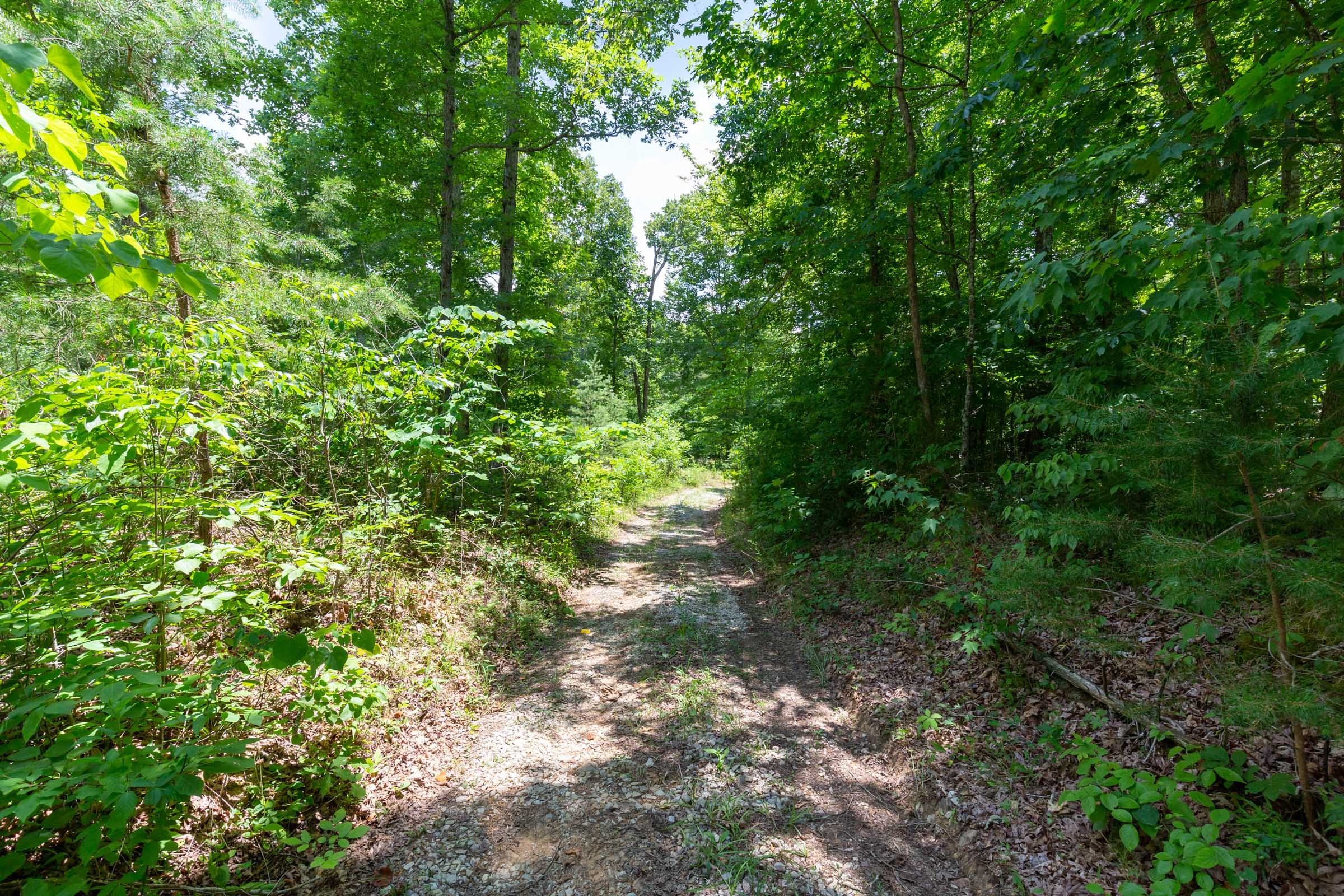Tucker Hollow Tract 7 photo 1