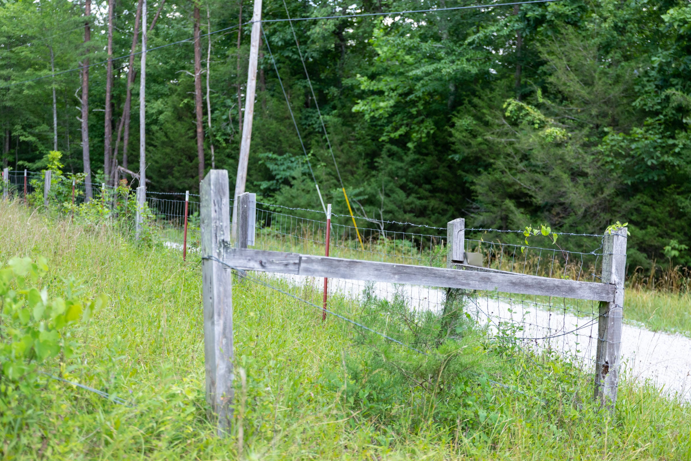 Tucker Hollow Tract 7 photo 7