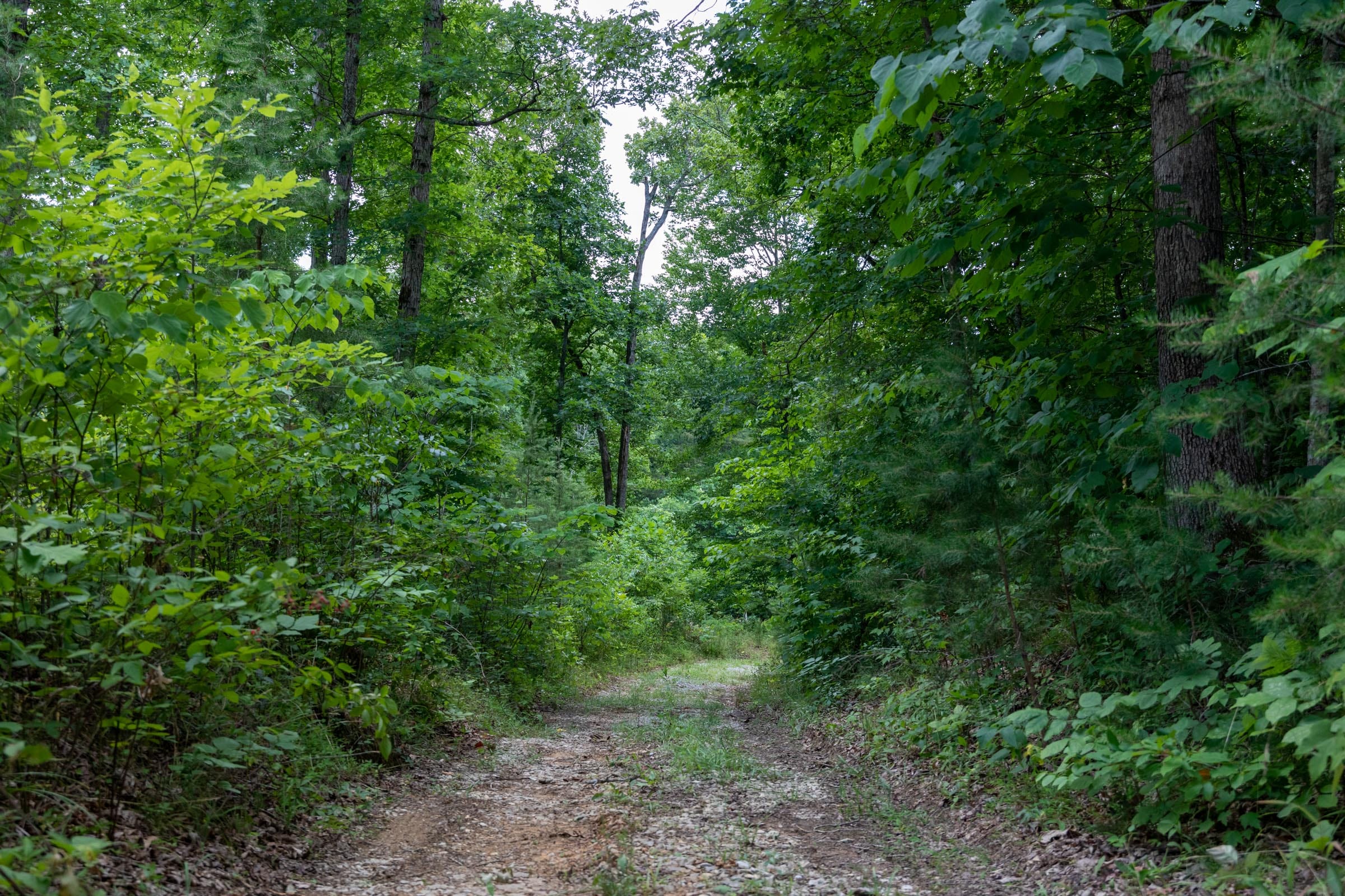 Tucker Hollow Tract 7 photo 8