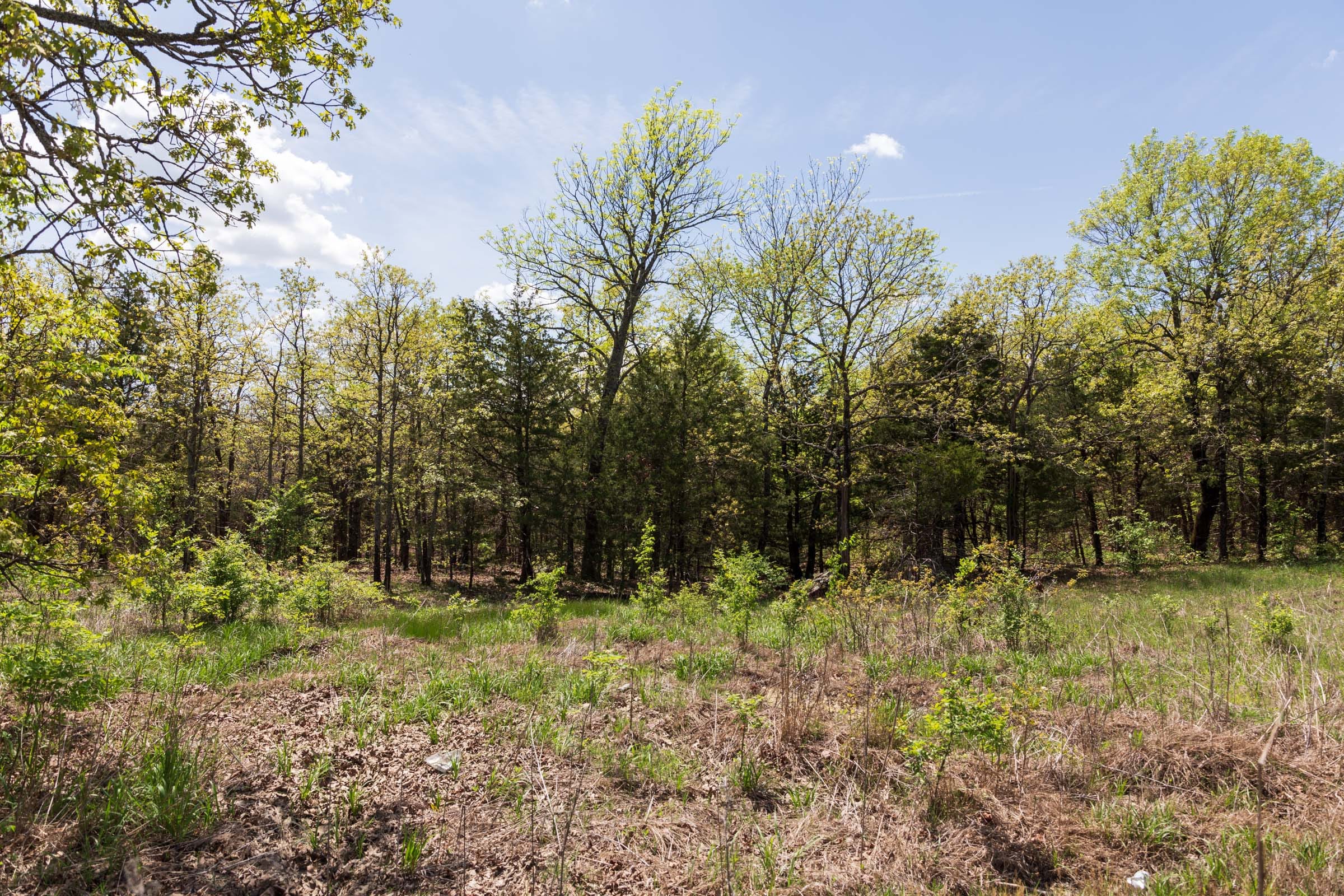 Allie’s Acres Tract 1 photo 13