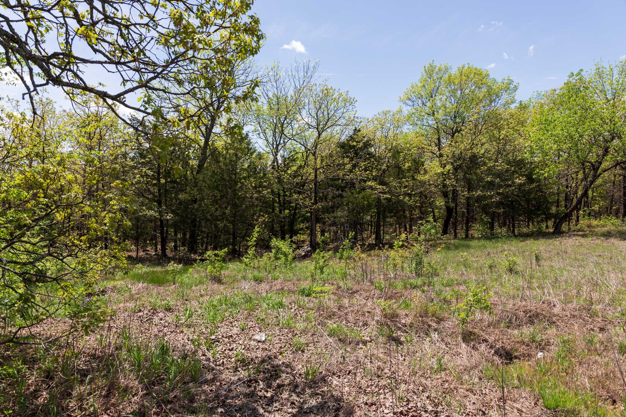 Allie’s Acres Tract 1 photo 14