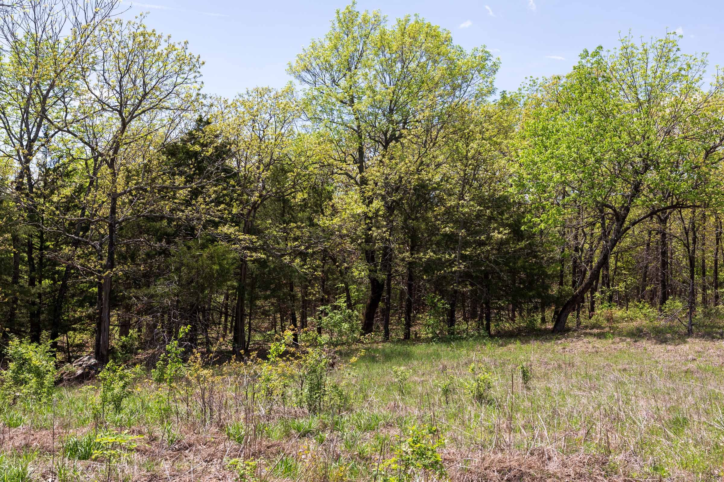 Allie’s Acres Tract 1 photo 15