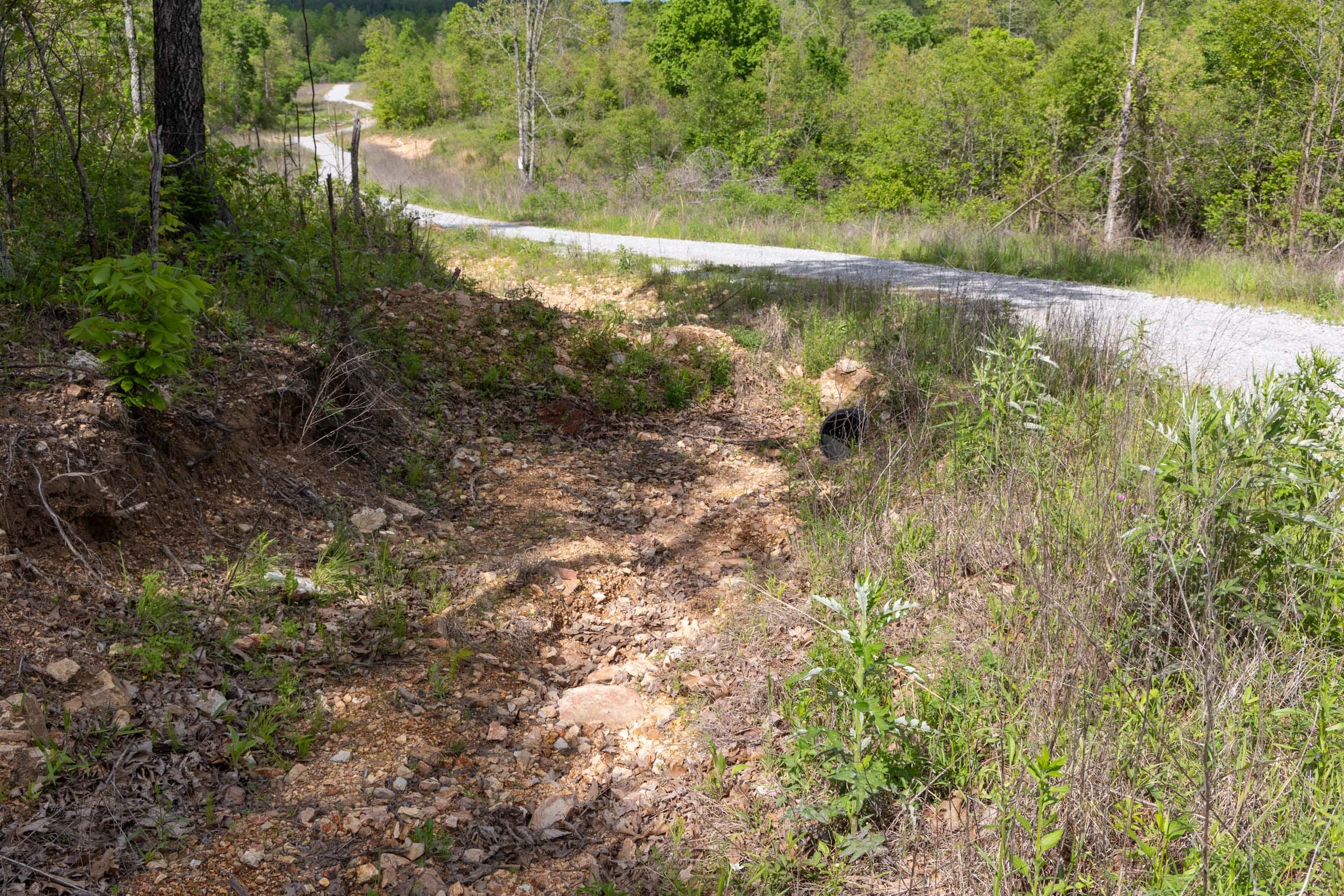 Sleepy Hollow Phase II Tract 102 photo 15