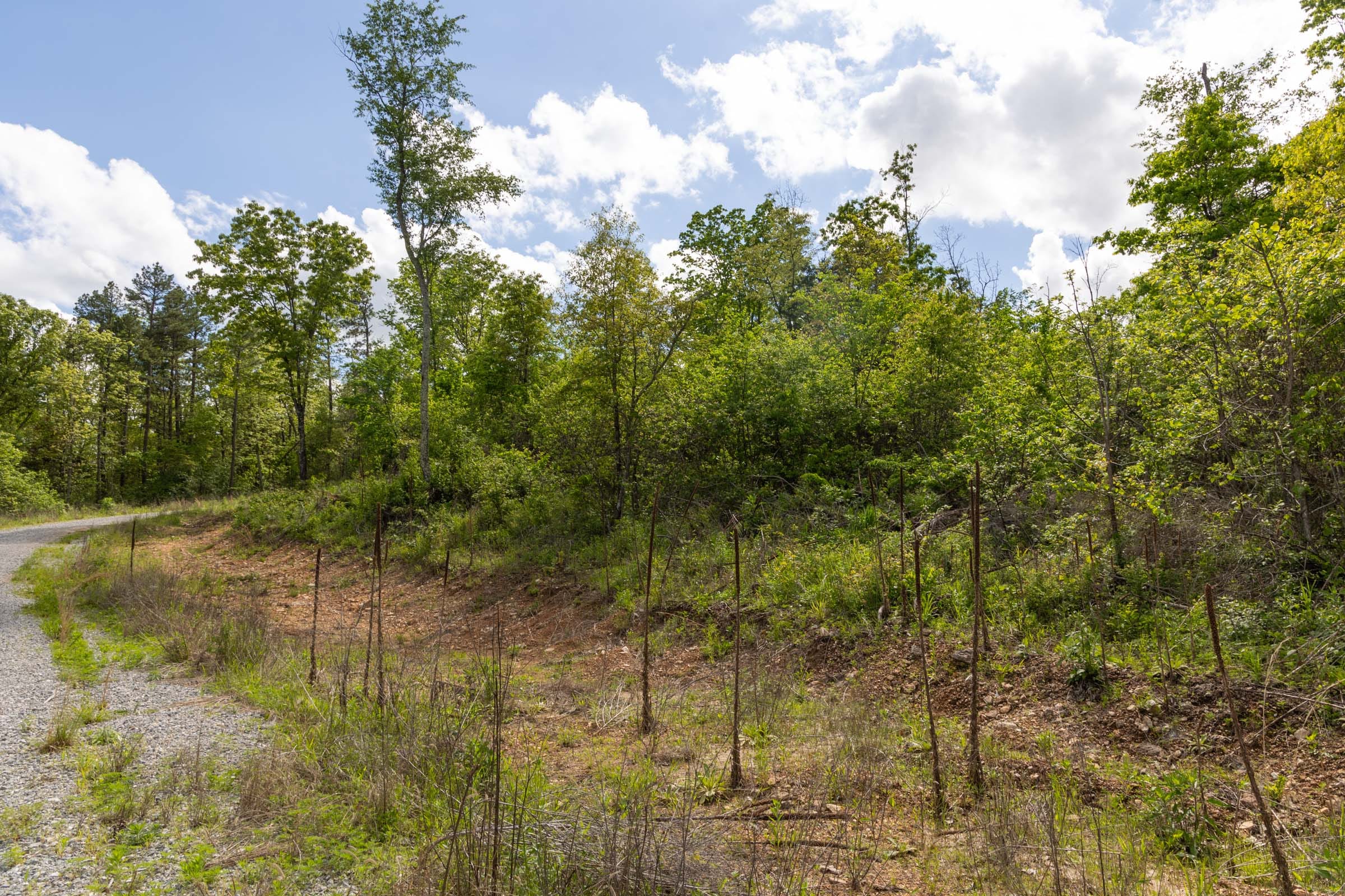 Sleepy Hollow Phase II Tract 102 photo 14