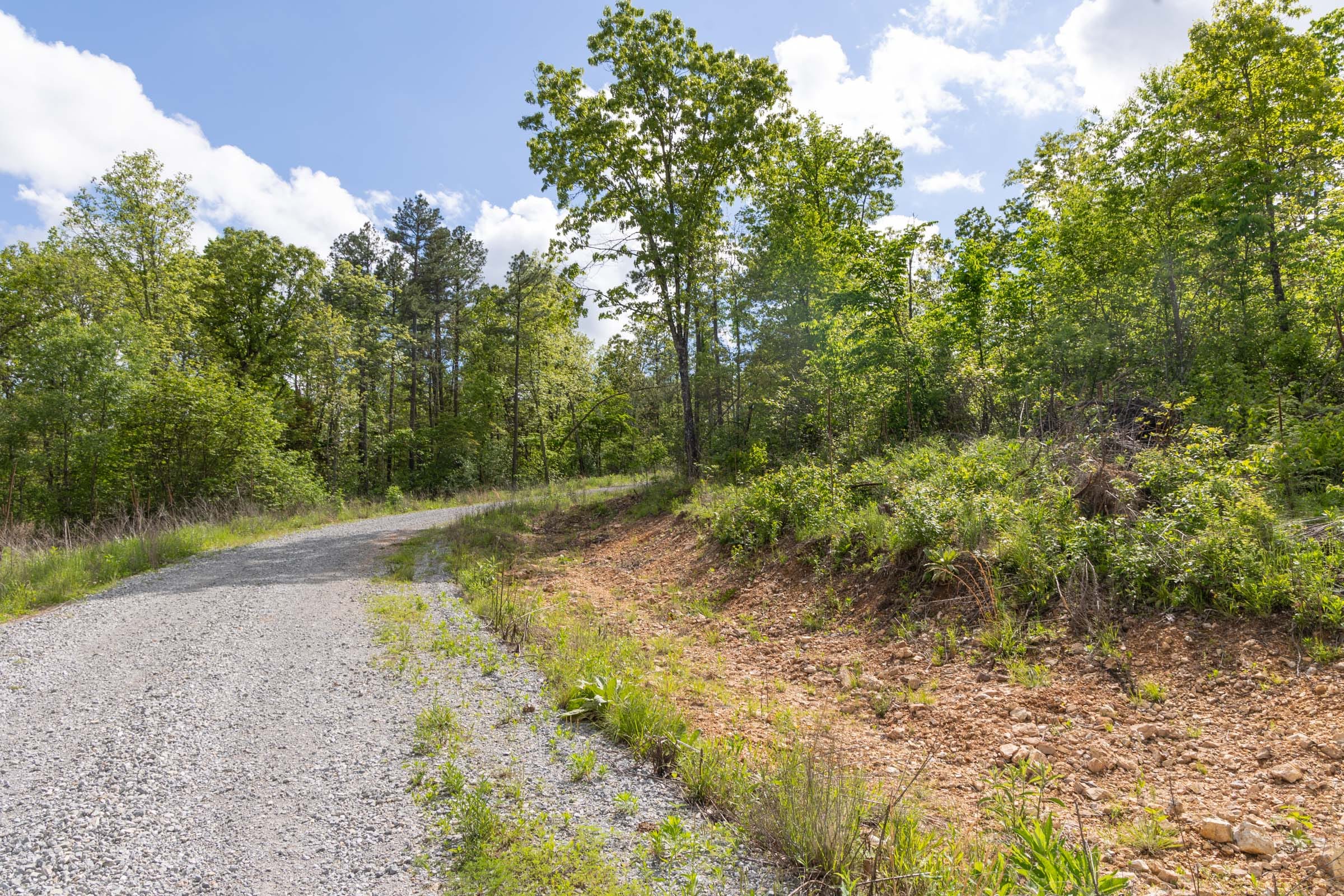 Sleepy Hollow Phase II Tract 102 photo 7