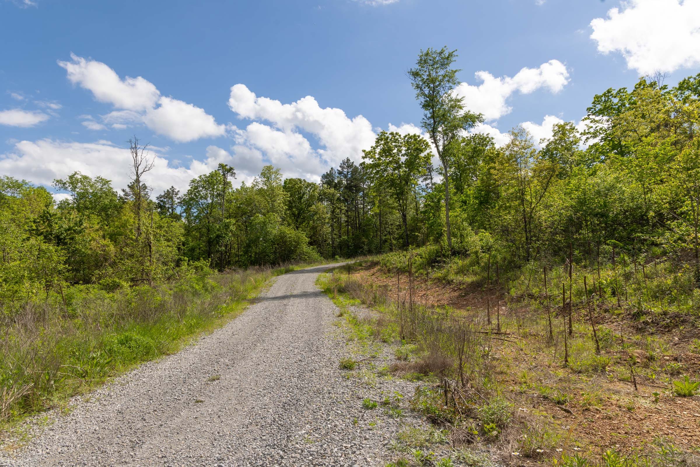 Sleepy Hollow Phase II Tract 102 photo 2