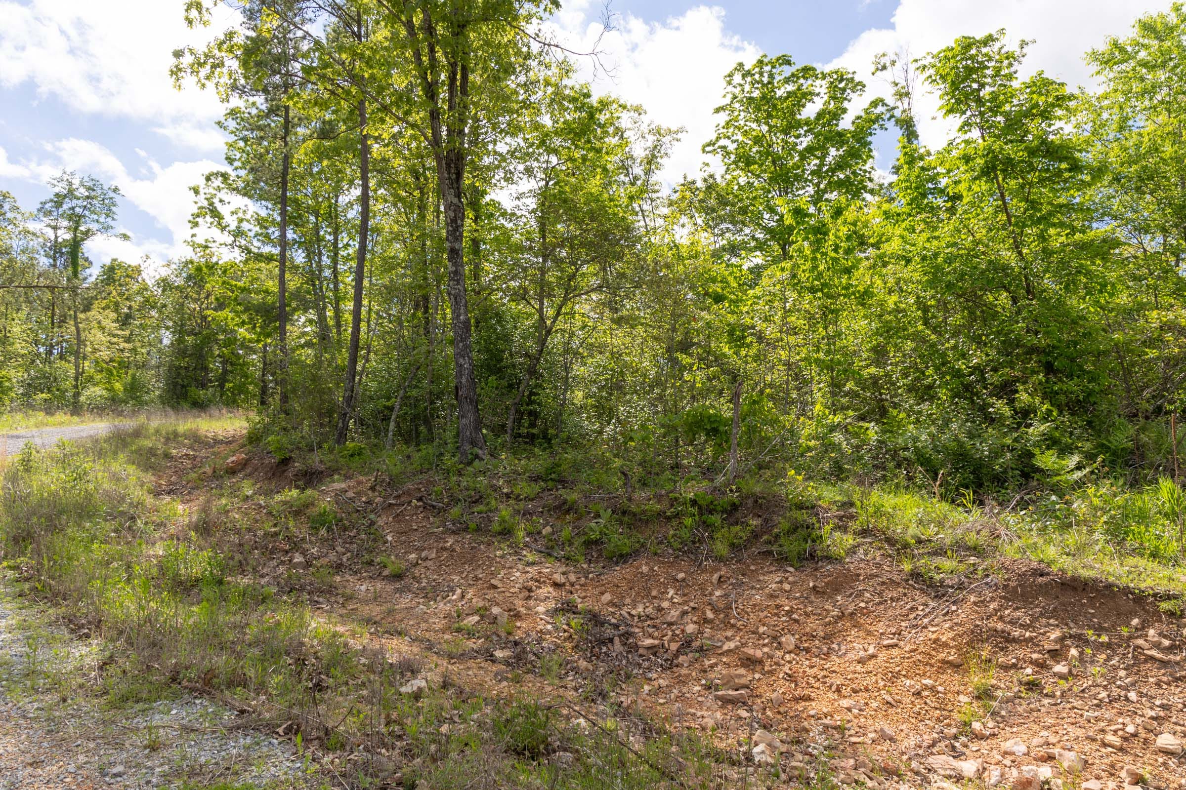 Sleepy Hollow Phase II Tract 102 photo 13
