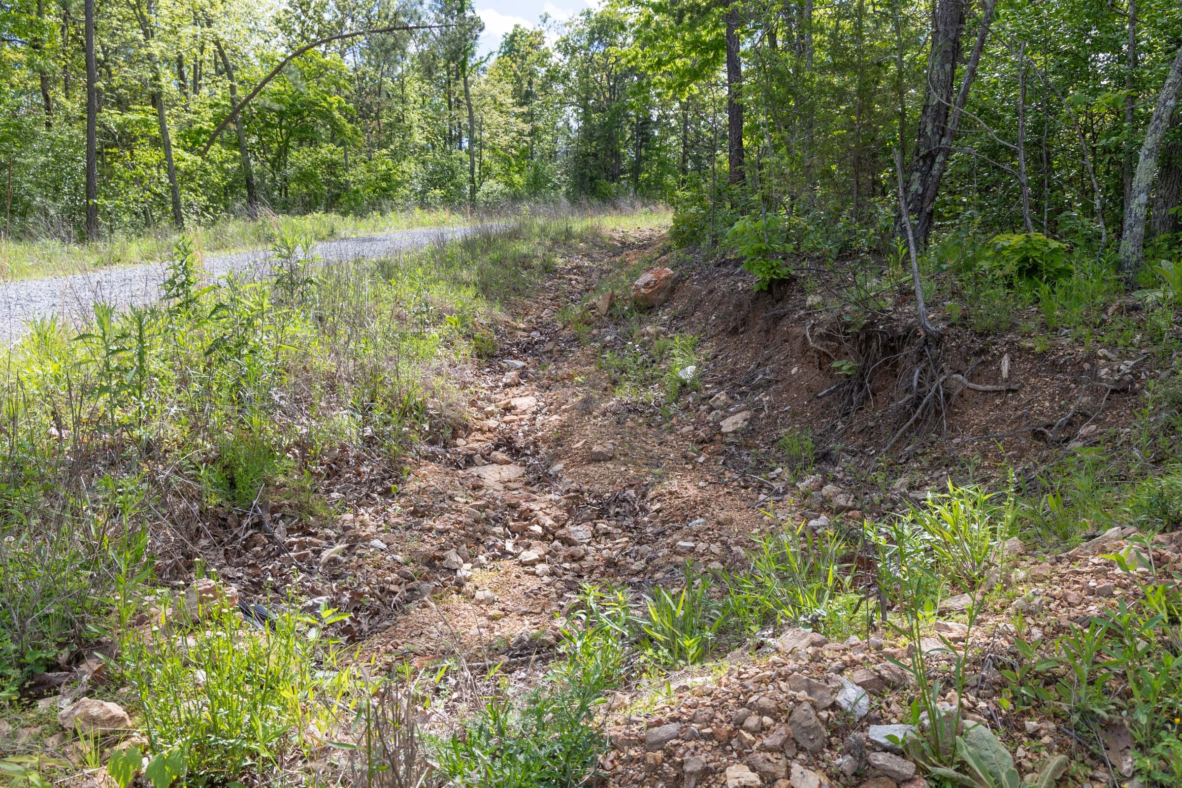 Sleepy Hollow Phase II Tract 102 photo 12