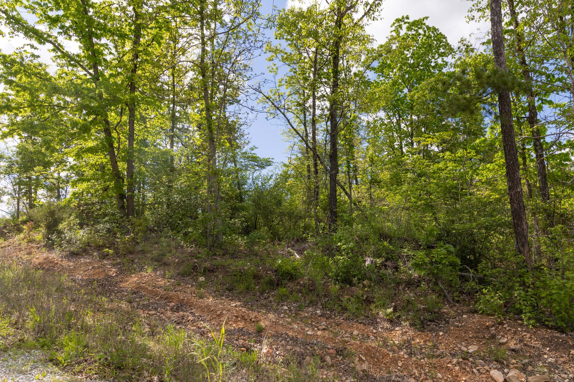 Sleepy Hollow Phase II Tract 102 photo 10