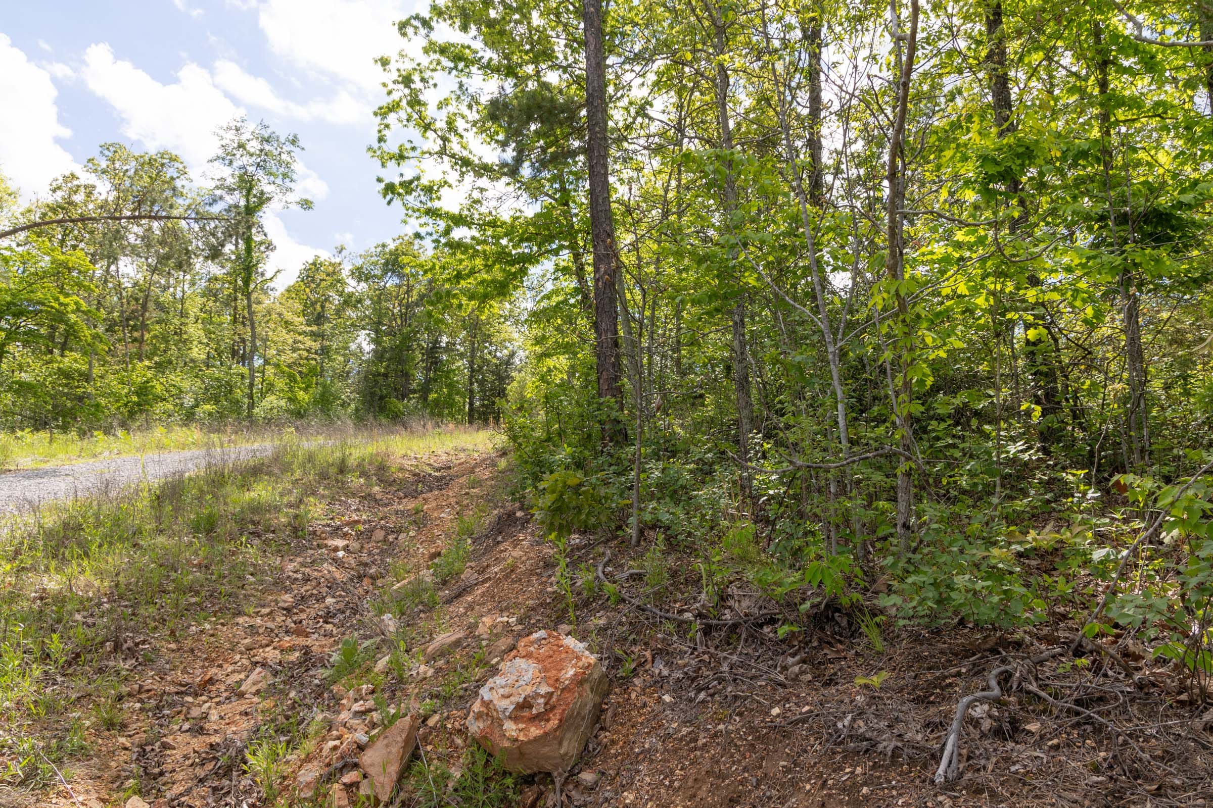Sleepy Hollow Phase II Tract 102 photo 9
