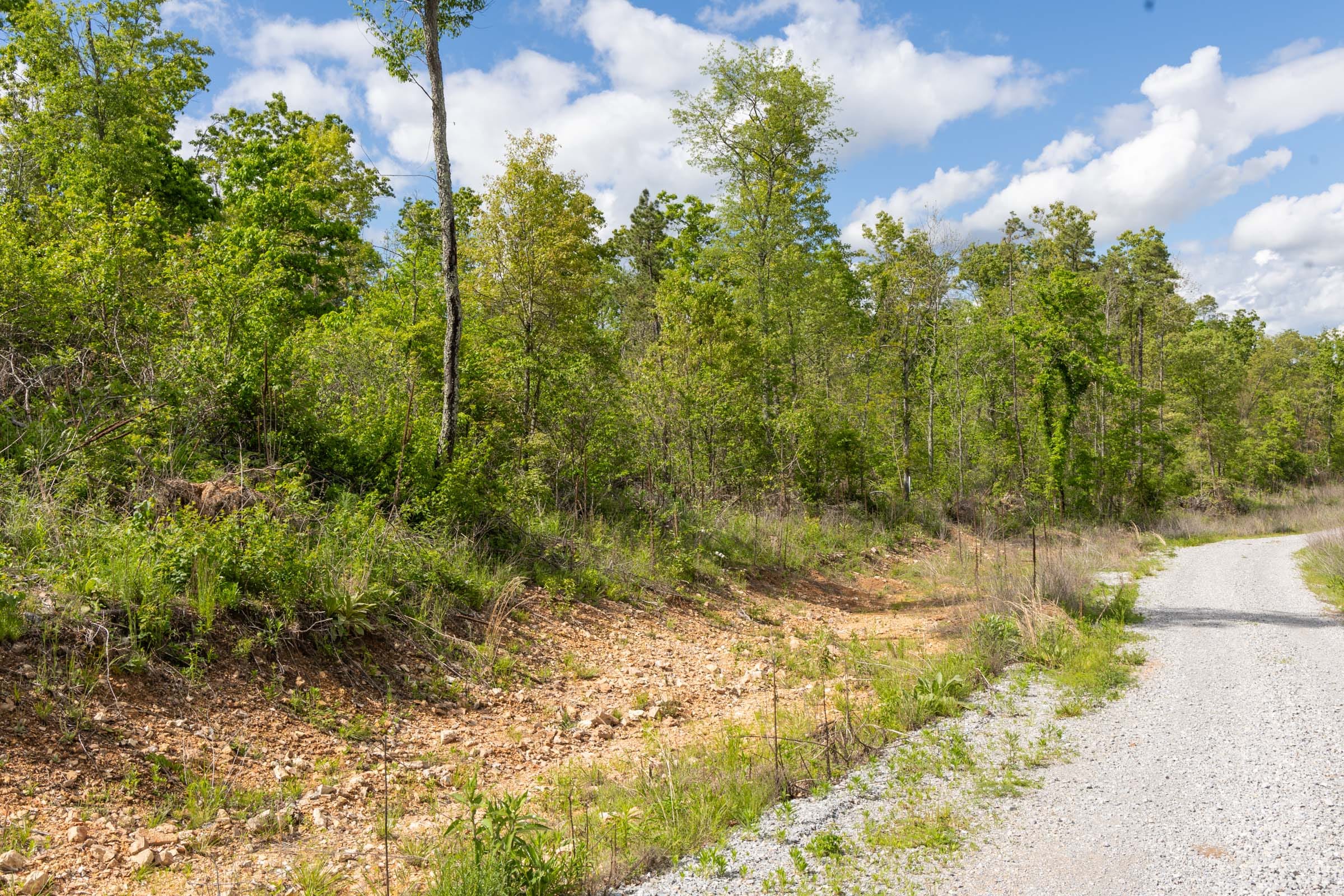 Sleepy Hollow Phase II Tract 102 photo 5