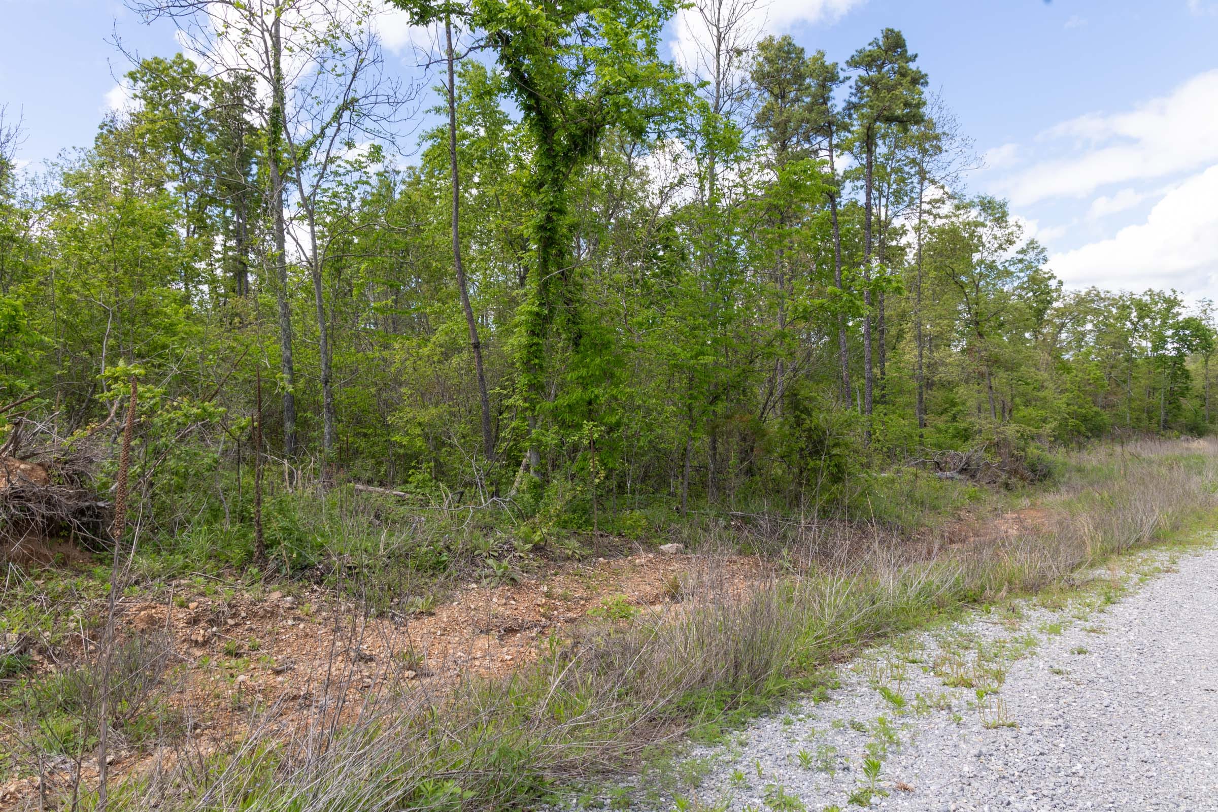 Sleepy Hollow Phase II Tract 102 photo 4