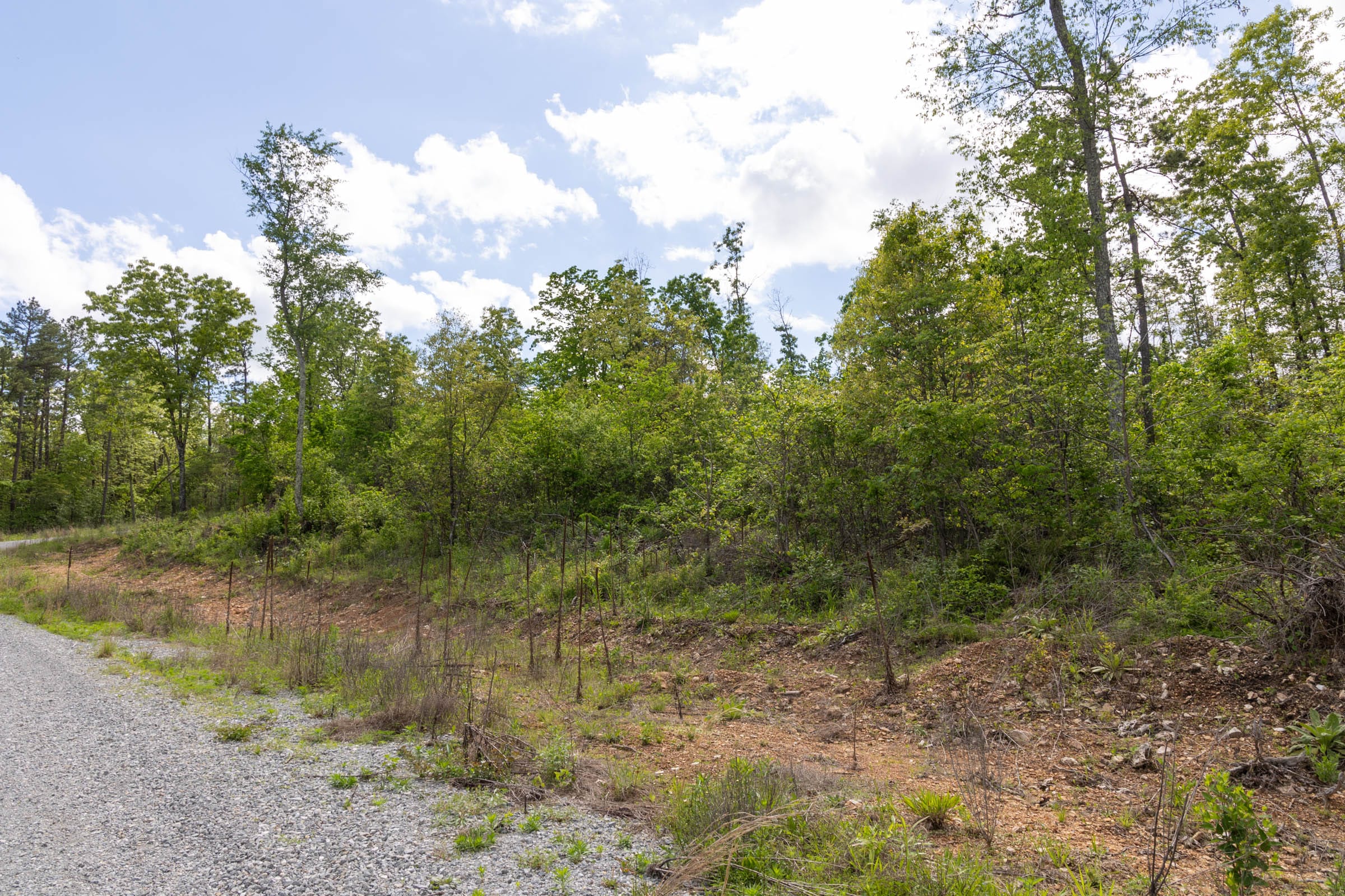 Sleepy Hollow Phase II Tract 102 photo 3