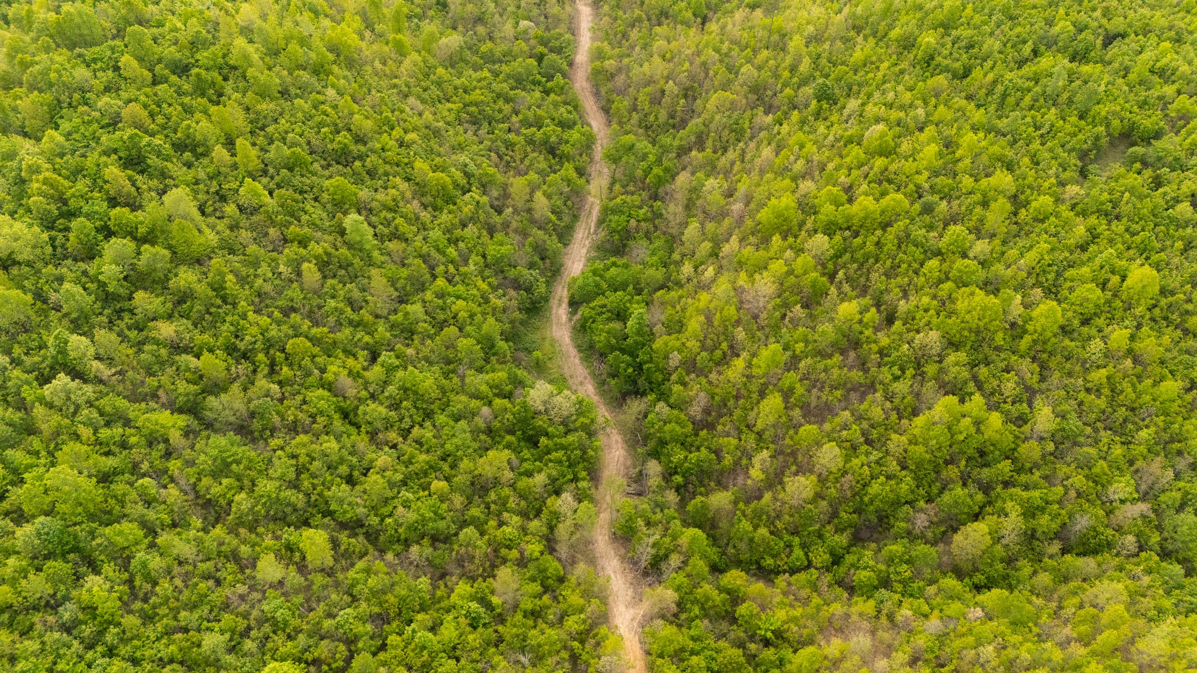 Double S Ranch Tract 5 photo 1