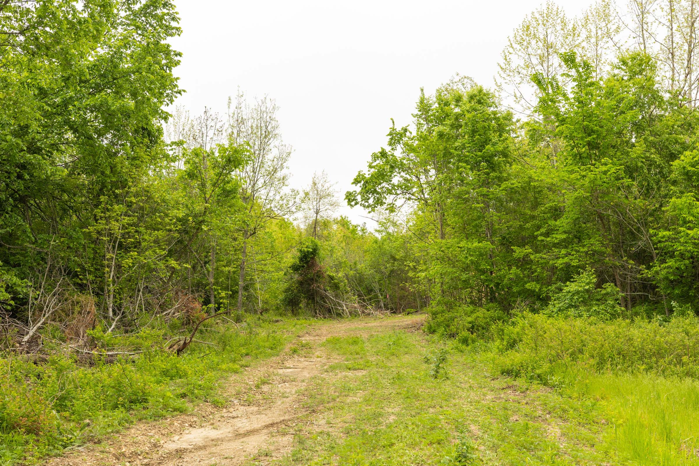 Double S Ranch Tract 5 photo 12