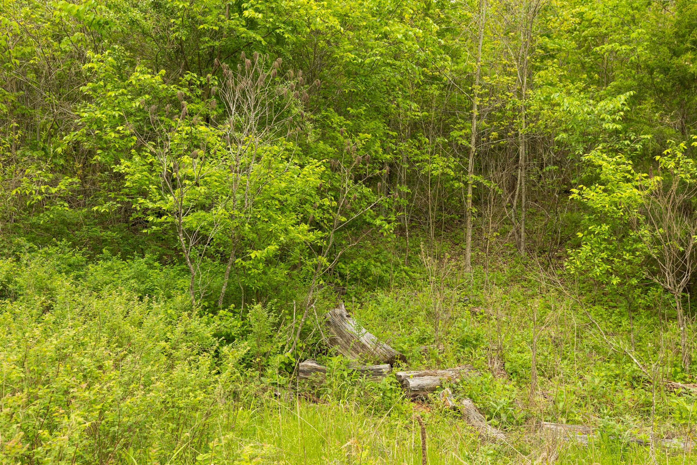 Double S Ranch Tract 5 photo 11