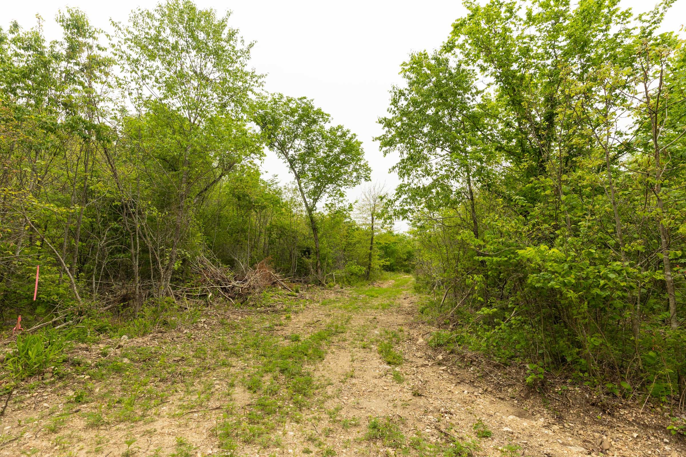Double S Ranch Tract 5 photo 13
