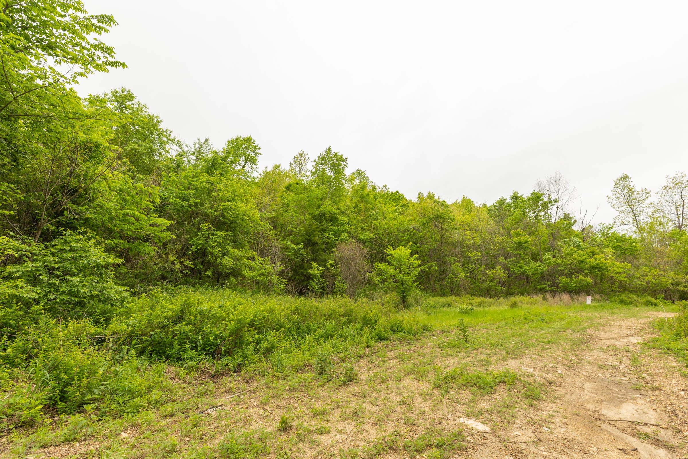 Double S Ranch Tract 5 photo 8