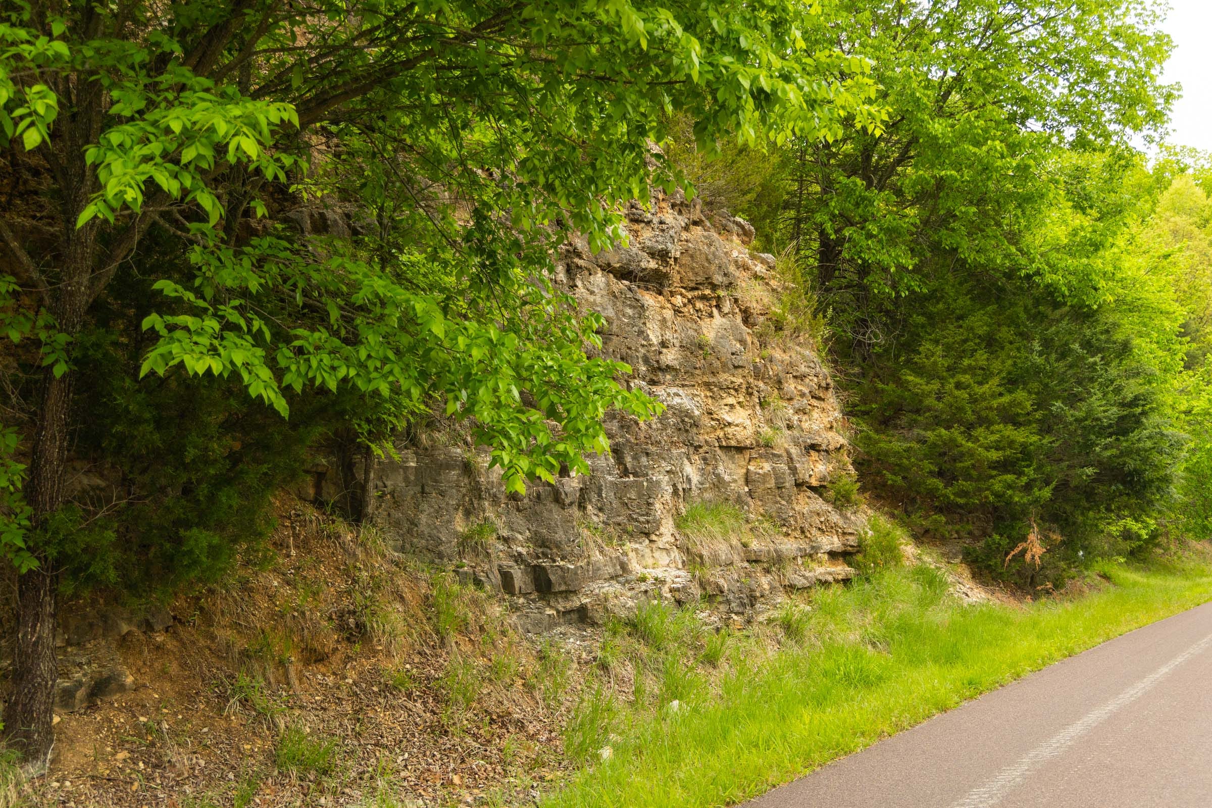Double S Ranch Tract 5 photo 6