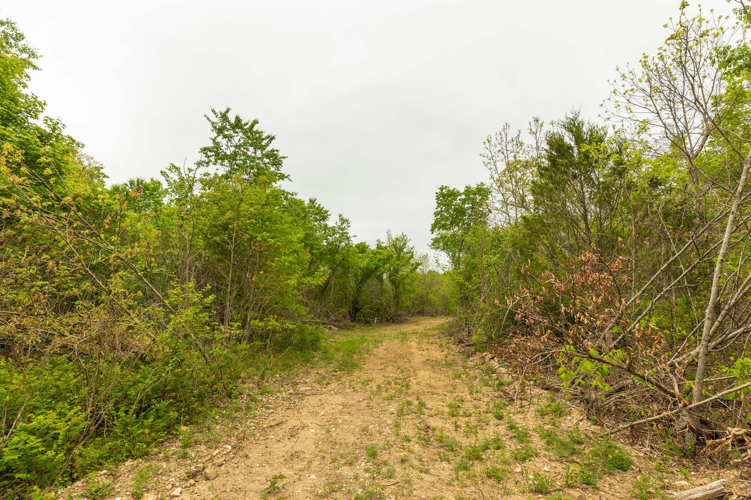 Double S Ranch Tract 5 photo 10