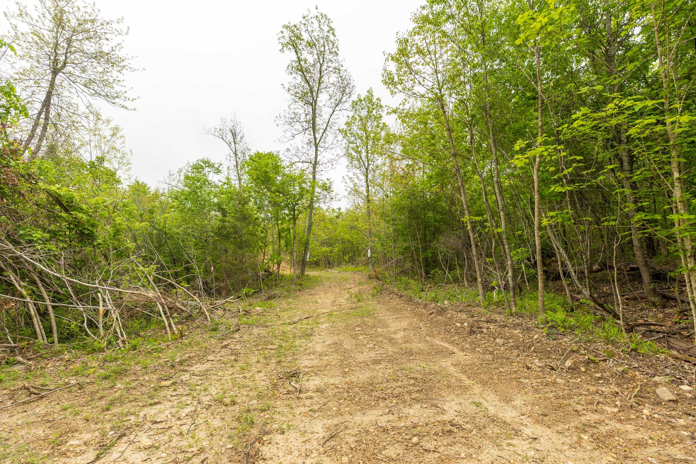 Double S Ranch Tract 5 photo 7