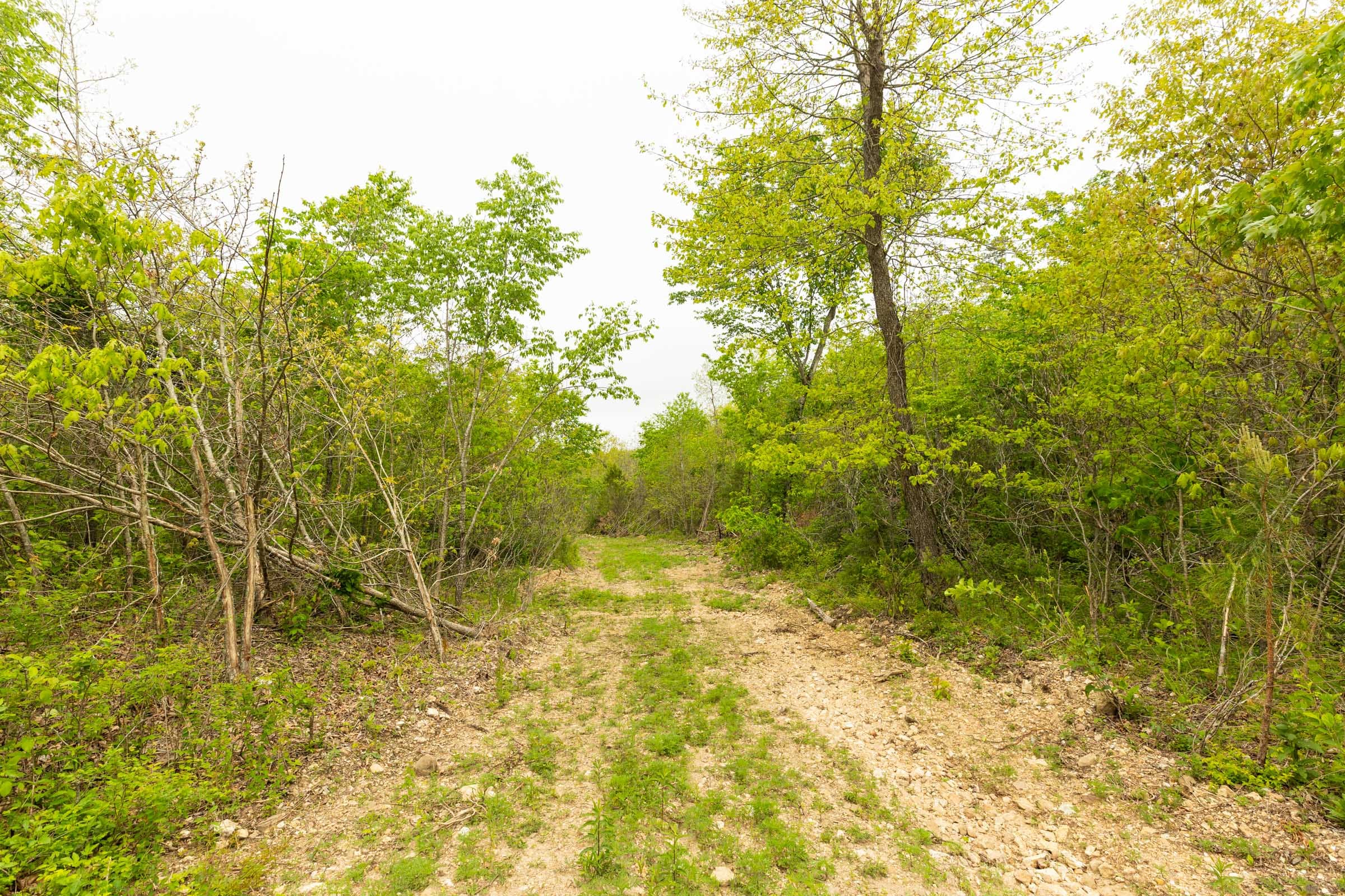 Double S Ranch Tract 5 photo 2