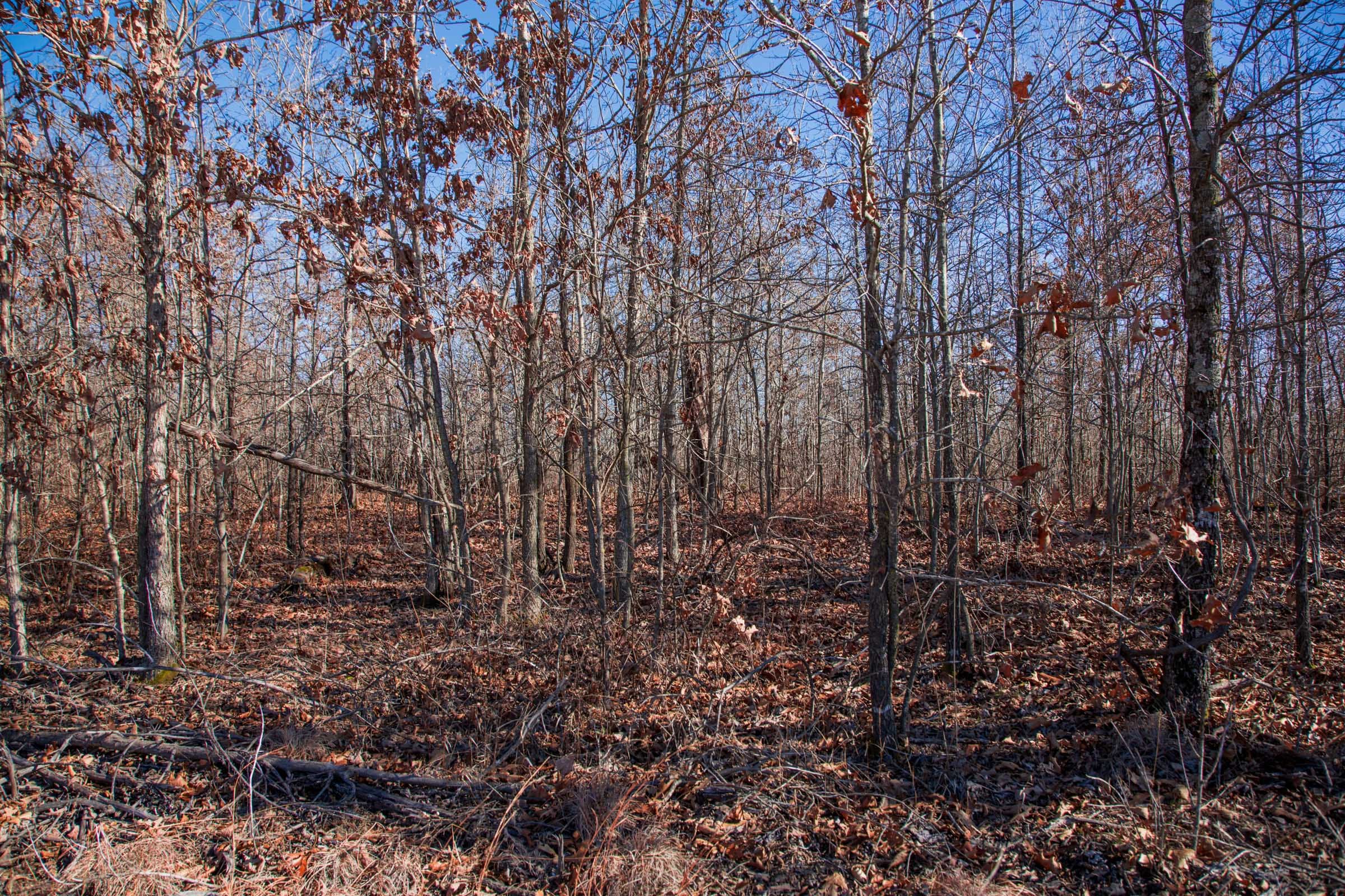 Buffalo Hills Tract 18 photo 1