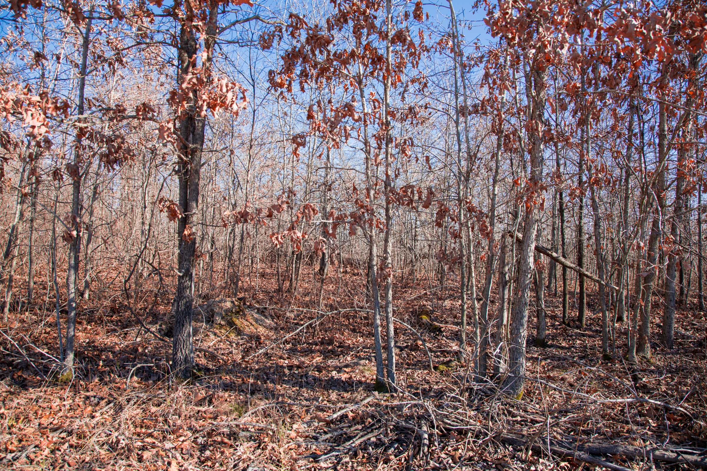 Buffalo Hills Tract 18 photo 3