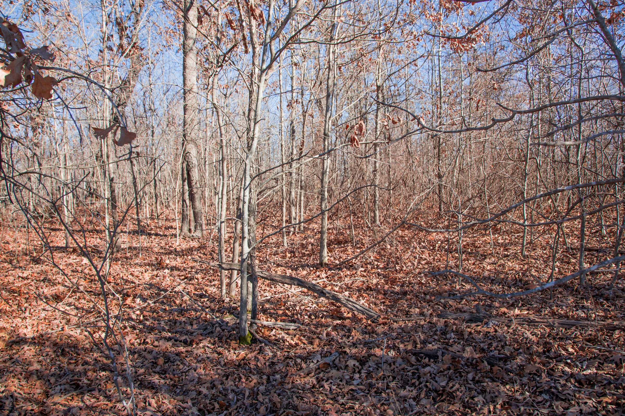Buffalo Hills Tract 18 photo 4