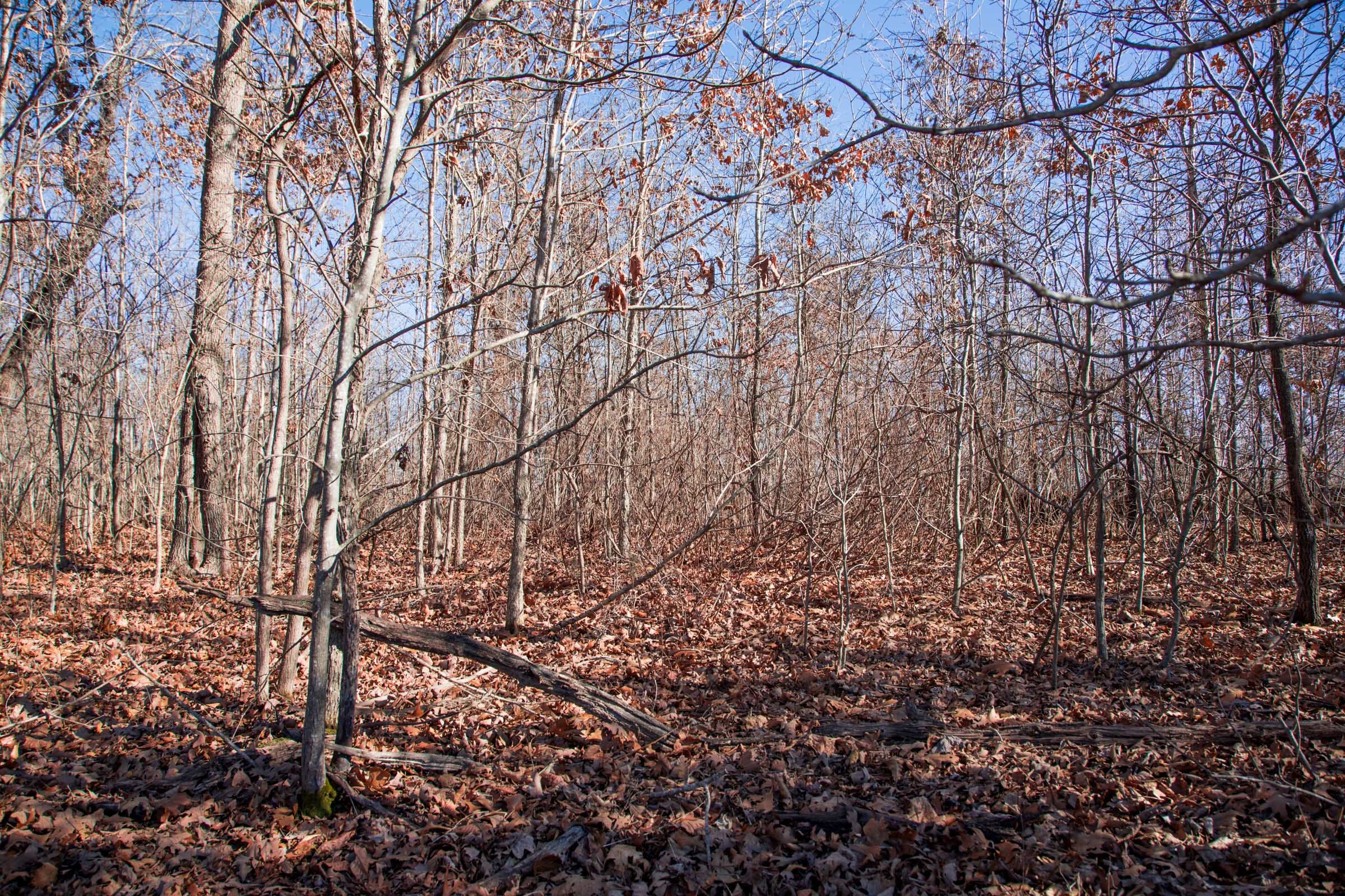 Buffalo Hills Tract 18 photo 5