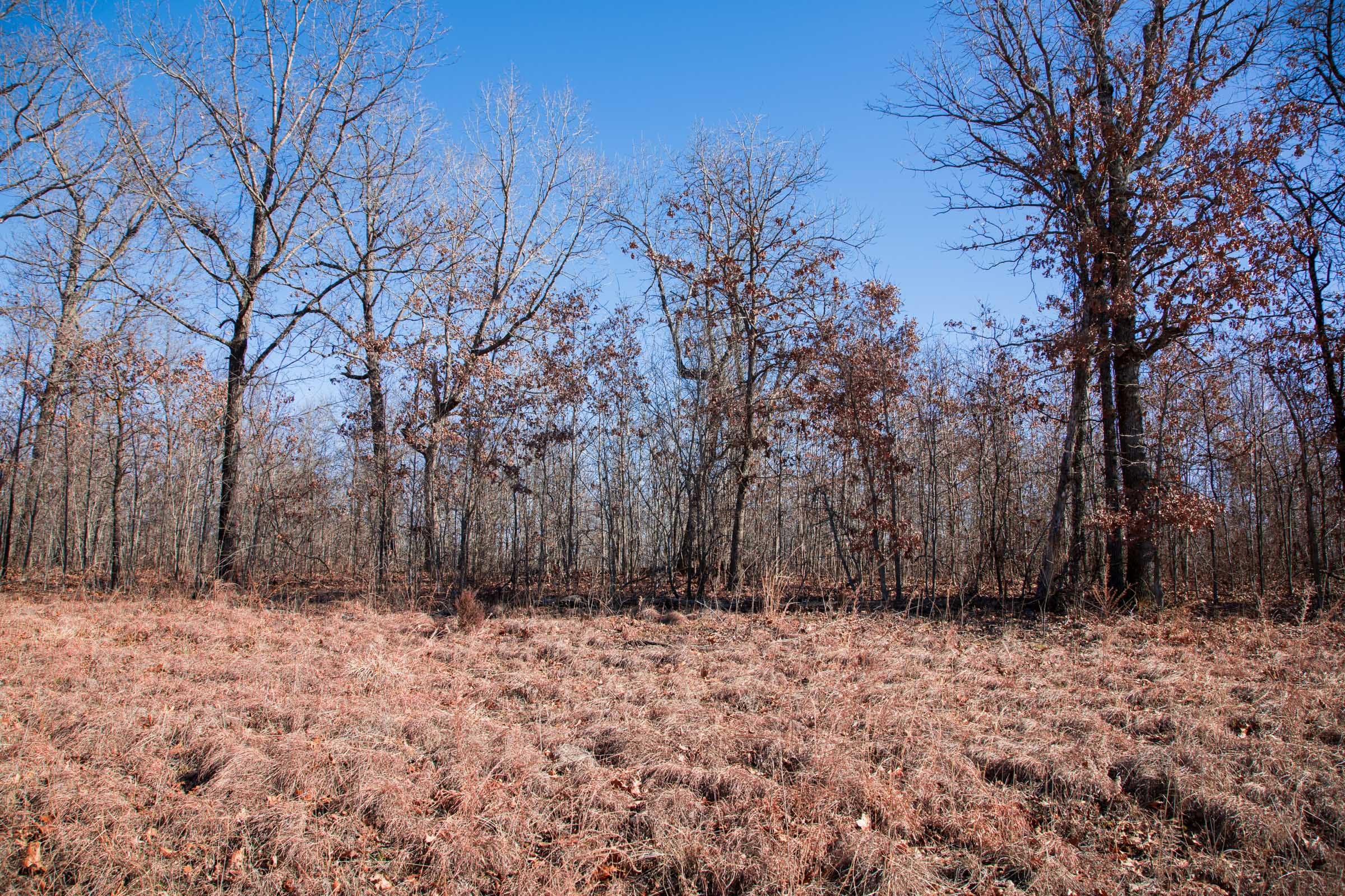 Buffalo Hills Tract 18 photo 6