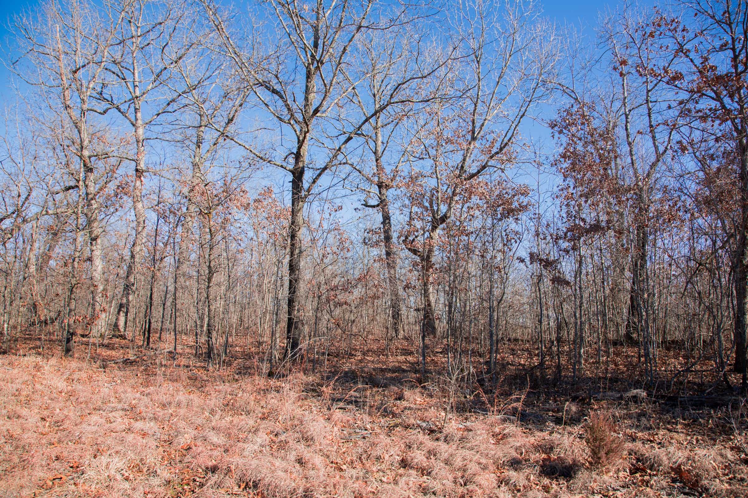 Buffalo Hills Tract 18 photo 8