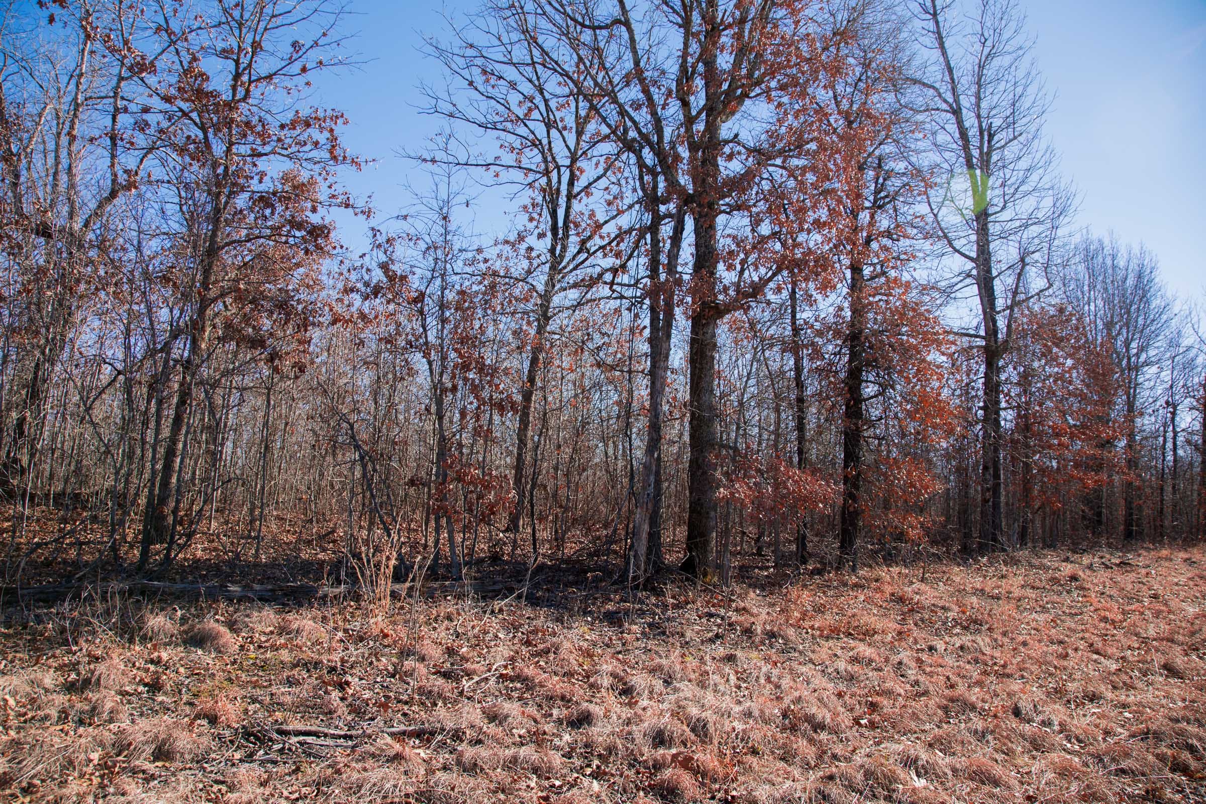 Buffalo Hills Tract 18 photo 9