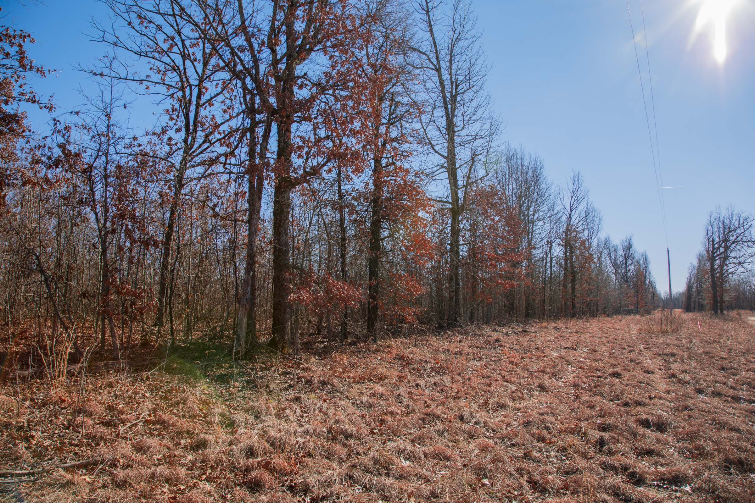 Buffalo Hills Tract 18 photo 10