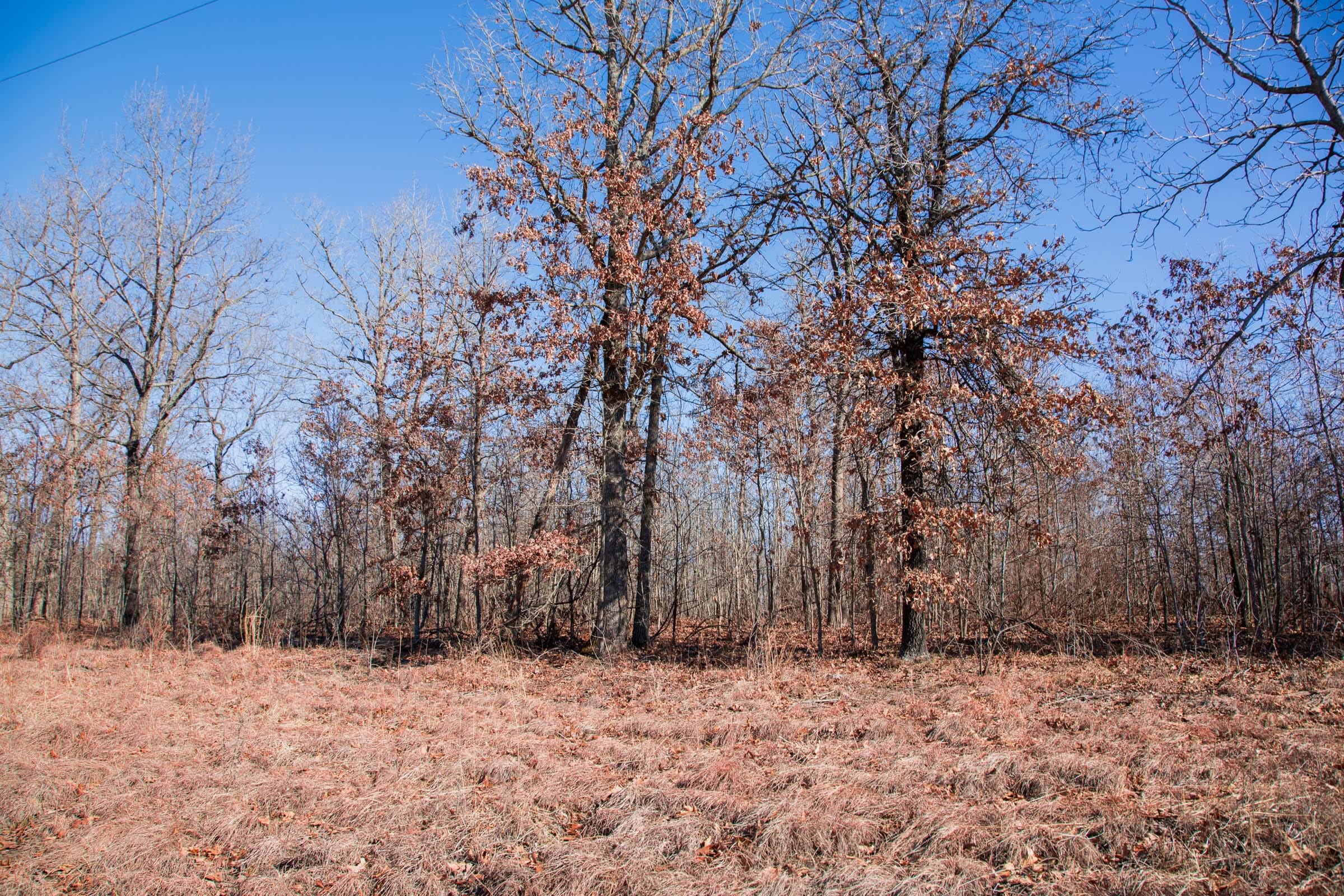 Buffalo Hills Tract 18 photo 11