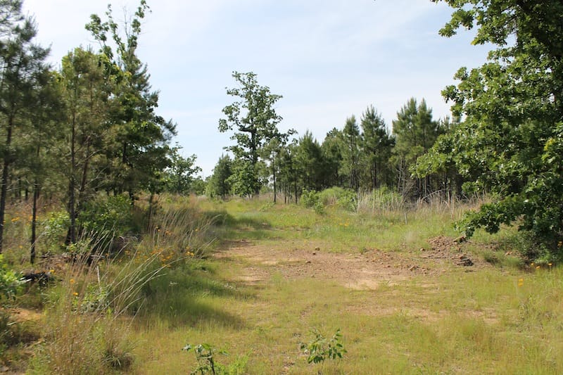 Indian Ridge – Phase II Tract 77 photo 1