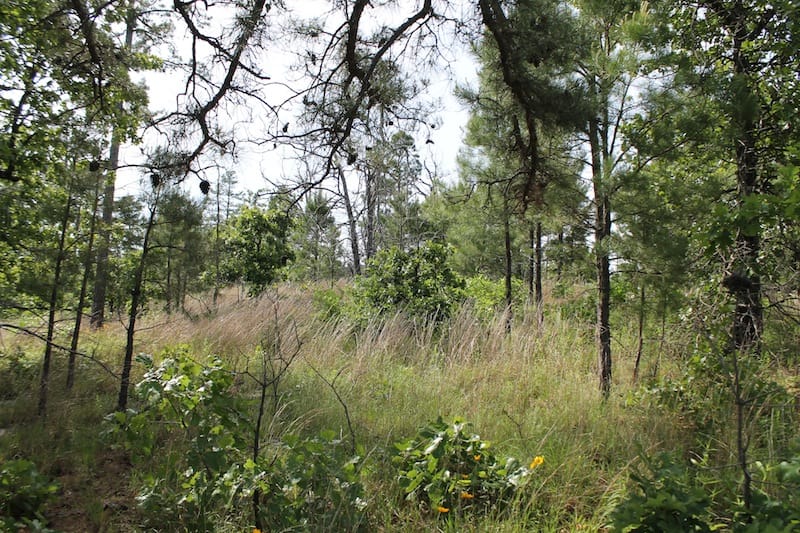 Indian Ridge – Phase II Tract 77 photo 6