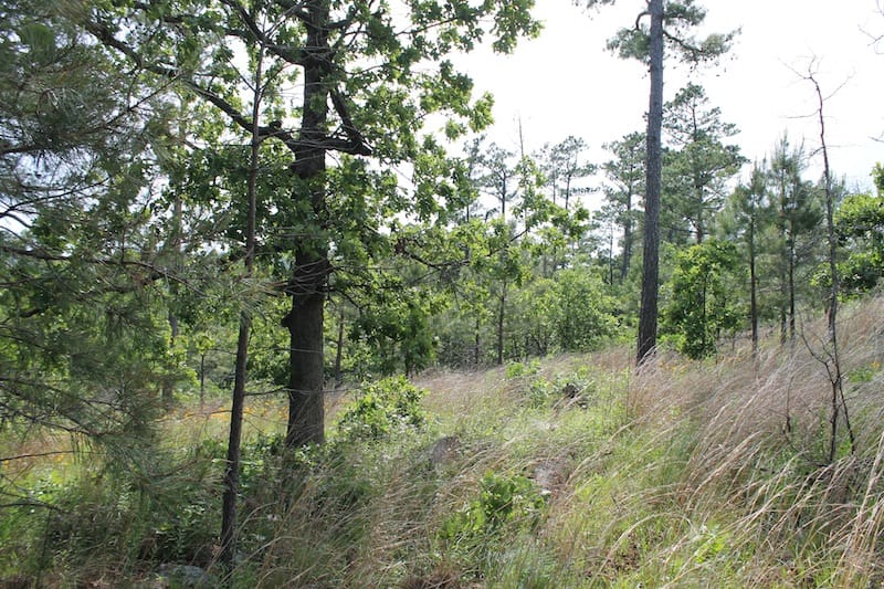 Indian Ridge – Phase II Tract 77 photo 7