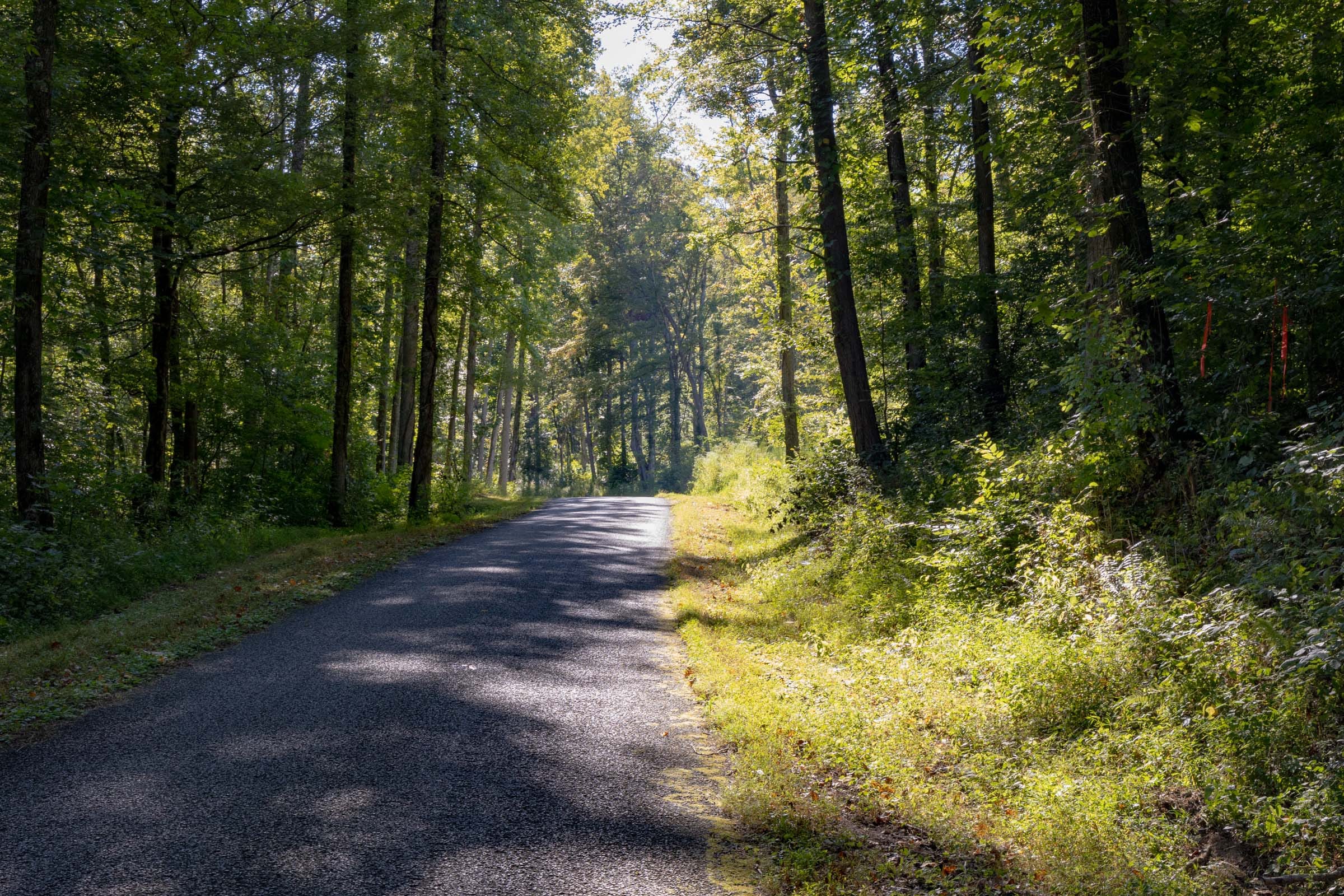 Big White Oak Tract 6 photo 3
