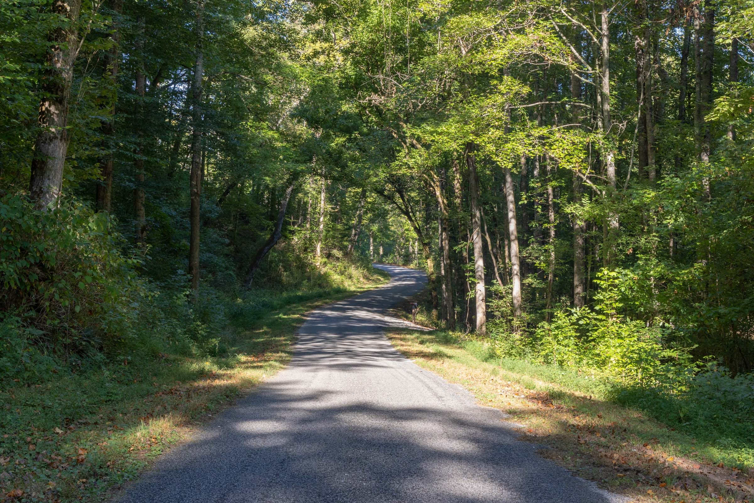 Big White Oak Tract 6 photo 1
