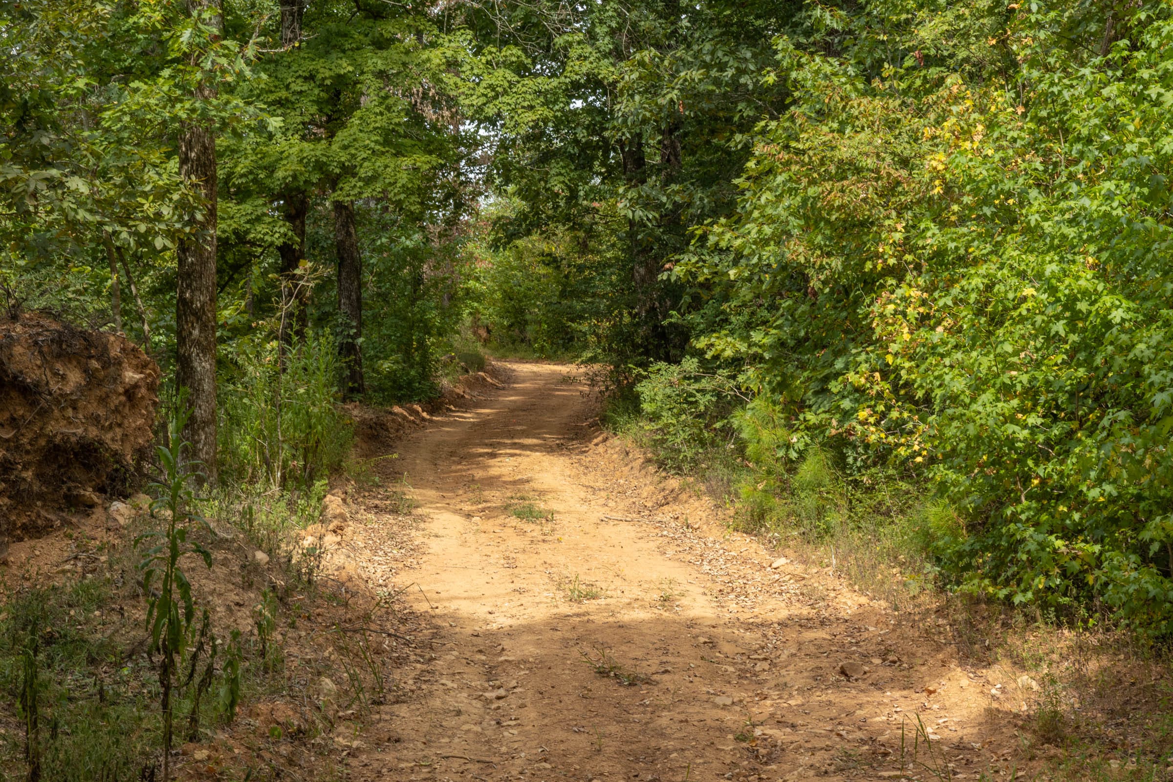 Big White Oak Tract 6 photo 7