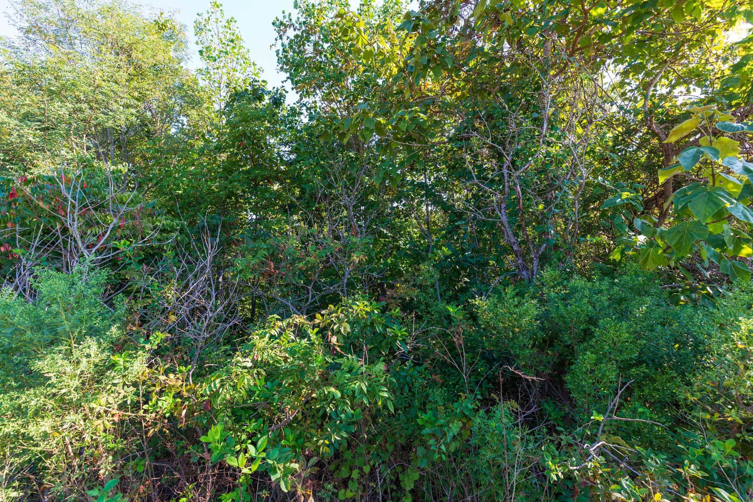 Redemption Ridge Tract 1 photo 2