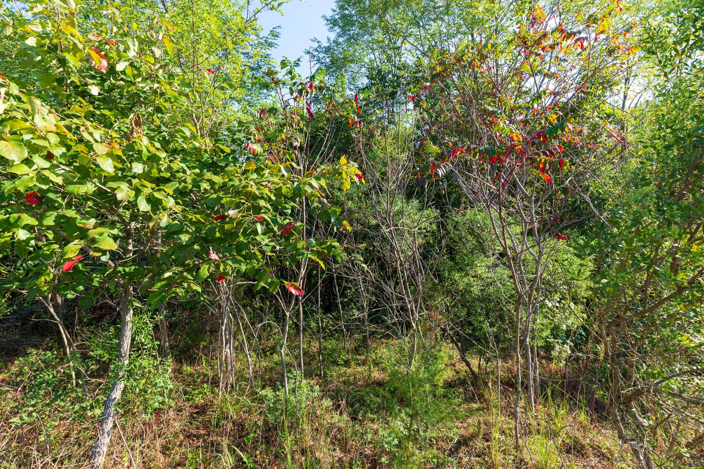 Redemption Ridge Tract 1 photo 5