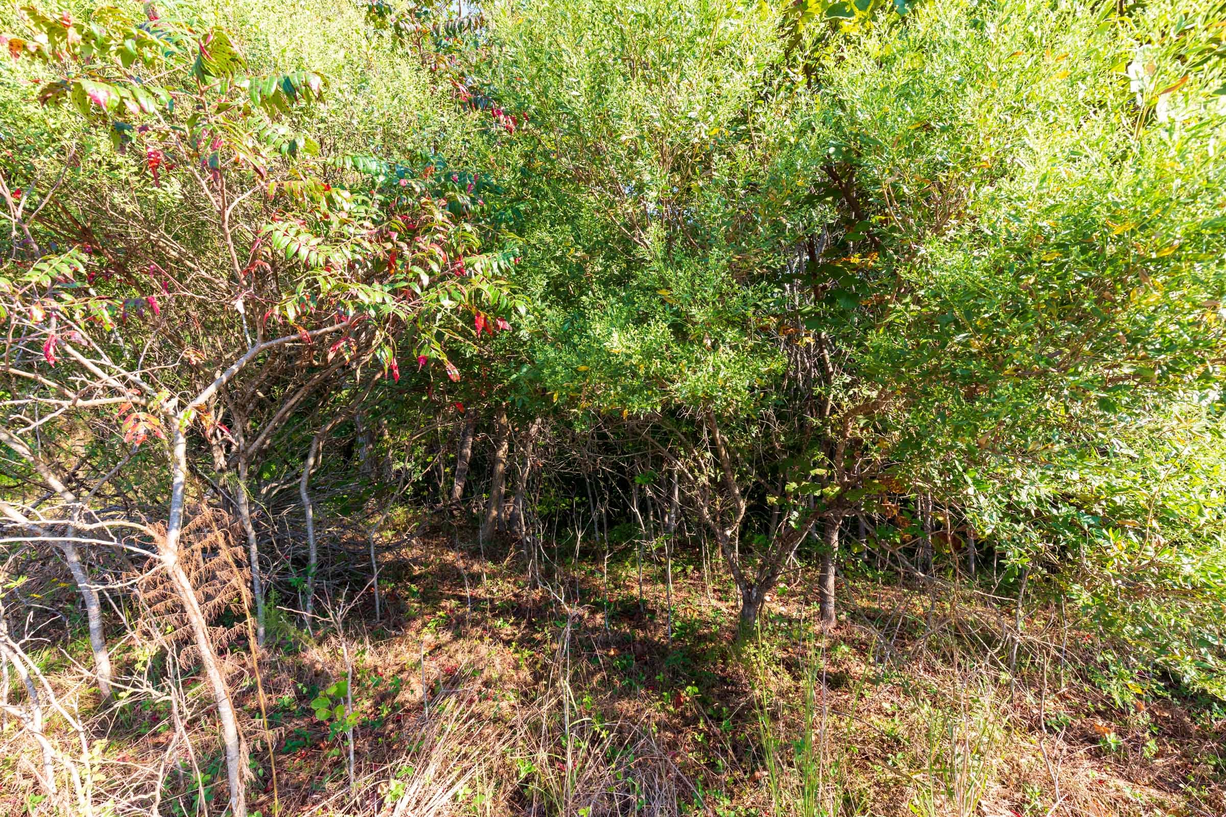 Redemption Ridge Tract 1 photo 6